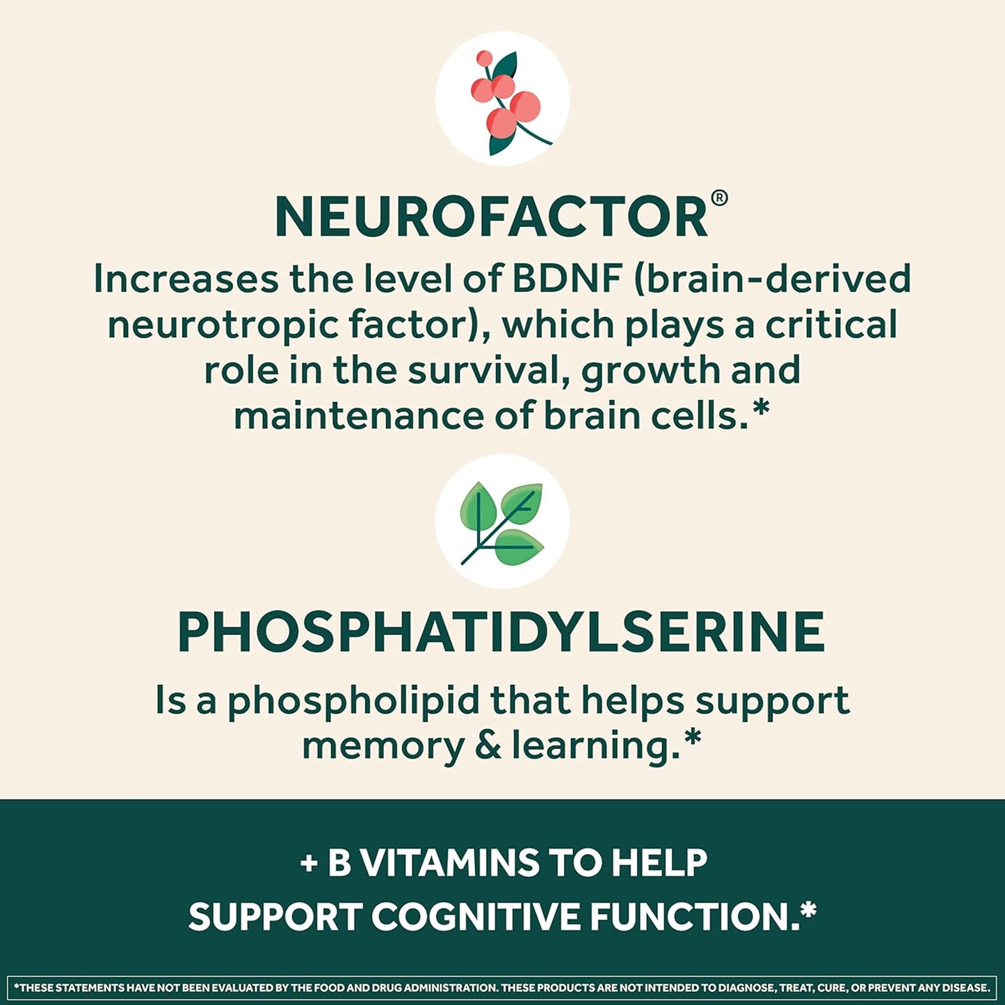 NEURIVA Plus Brain Supplement: Clinically Tested Nootropics for Memory, Focus, and Cognitive Enhancement - 30 Capsules