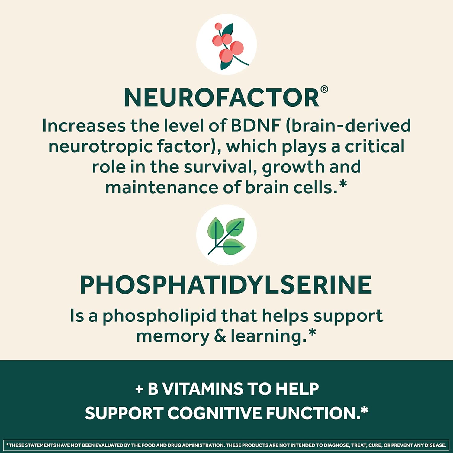 NEURIVA Plus Brain Supplement: Clinically Tested Nootropics for Memory, Focus, and Cognitive Enhancement - 30 Capsules