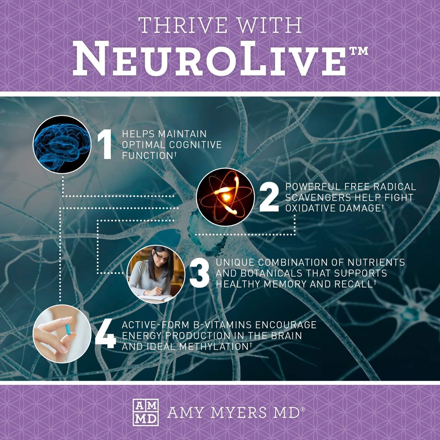 NeuroLive Brain Cell Membrane Supplement with Vitamin B6 & Ginkgo - Support Healthy Brain Tissue & Blood Flow - 120 Capsules