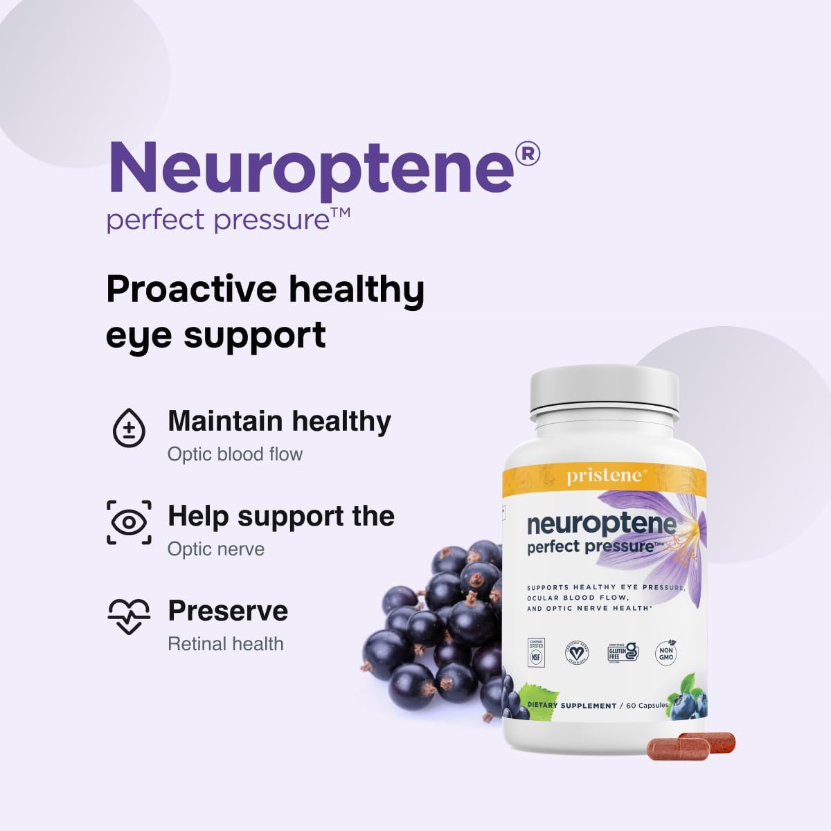 Neuroptene Eye Pressure Support Supplement with Bilberry, Saffron, Niacinamide, and CoQ10 - Promotes Healthy Optic Nerve and Retinal Blood Flow - 60 Capsules
