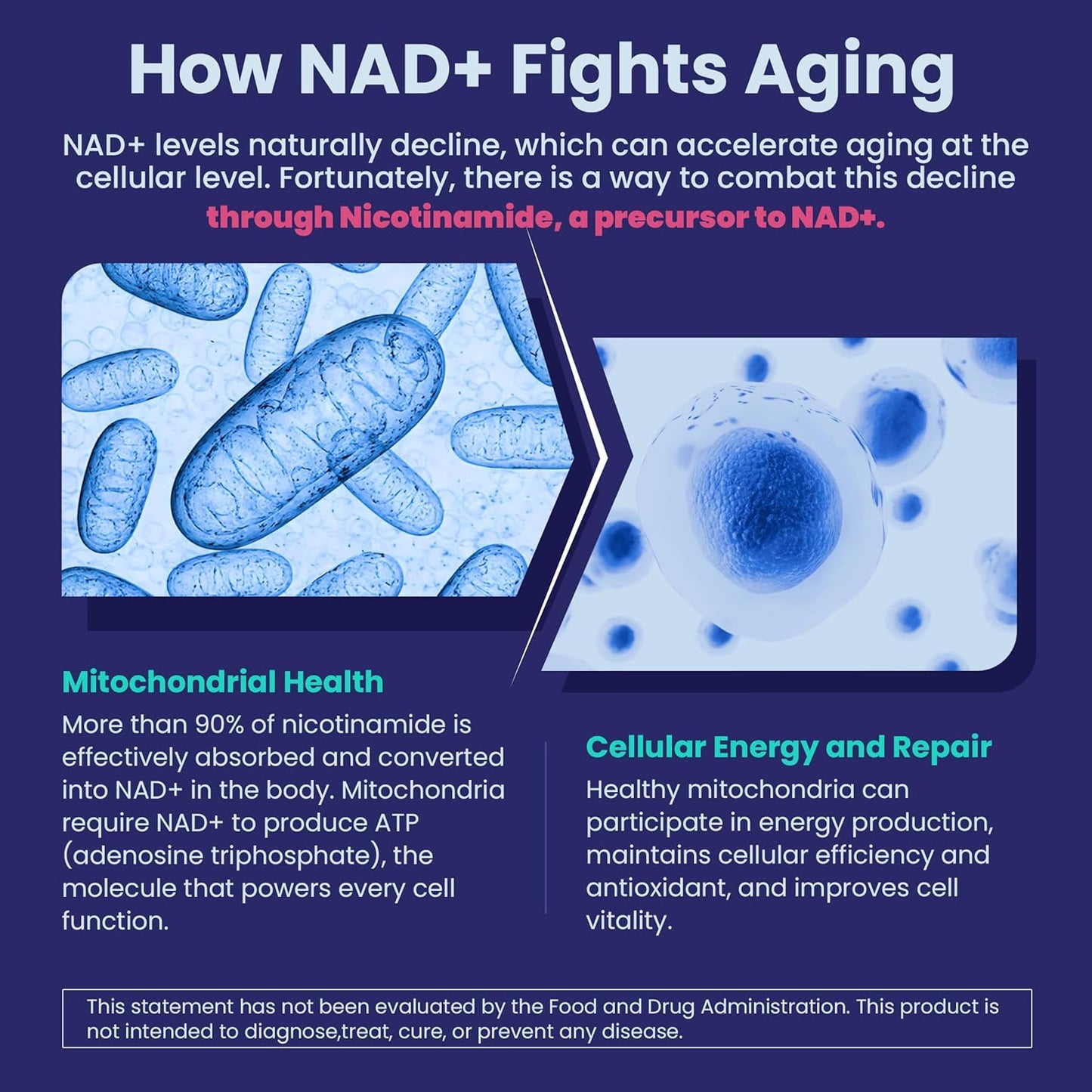NEVISS Nicotinamide 500mg Gummies with Collagen Peptides for Healthy Aging, NAD+ Boost, and Brain Health, 120 Count