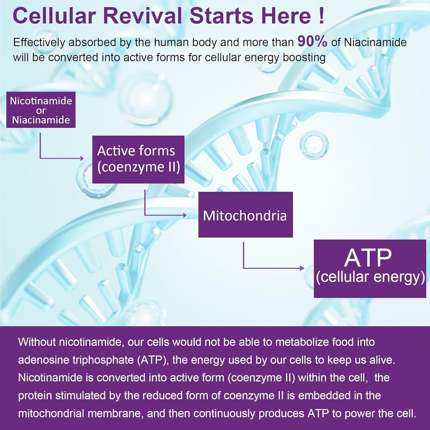 NEVISS Nicotinamide Gummies with Zinc and Copper: 500mg Vegan Immune Support Supplement