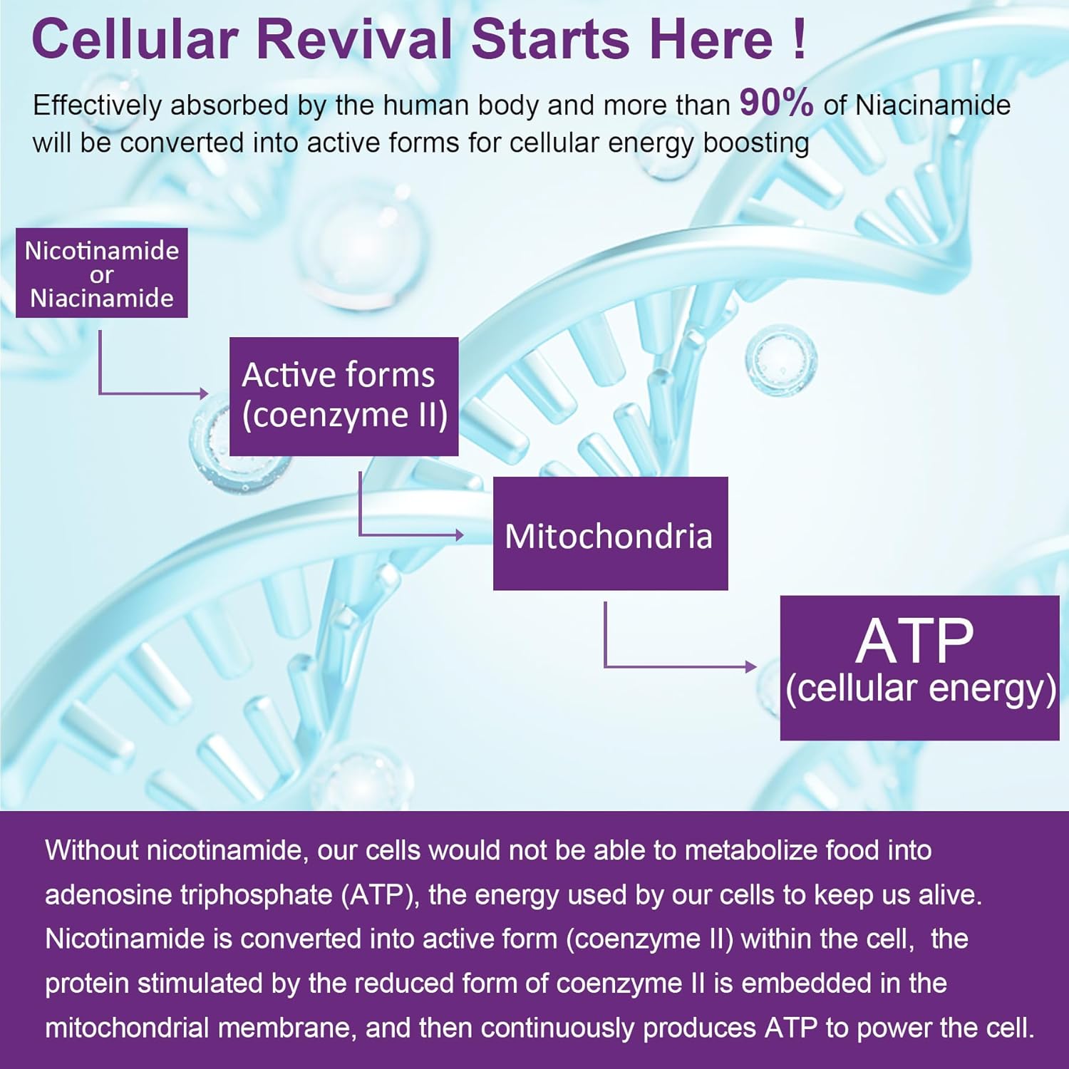 NEVISS Nicotinamide Gummies with Zinc and Copper: 500mg Vegan Immune Support Supplement