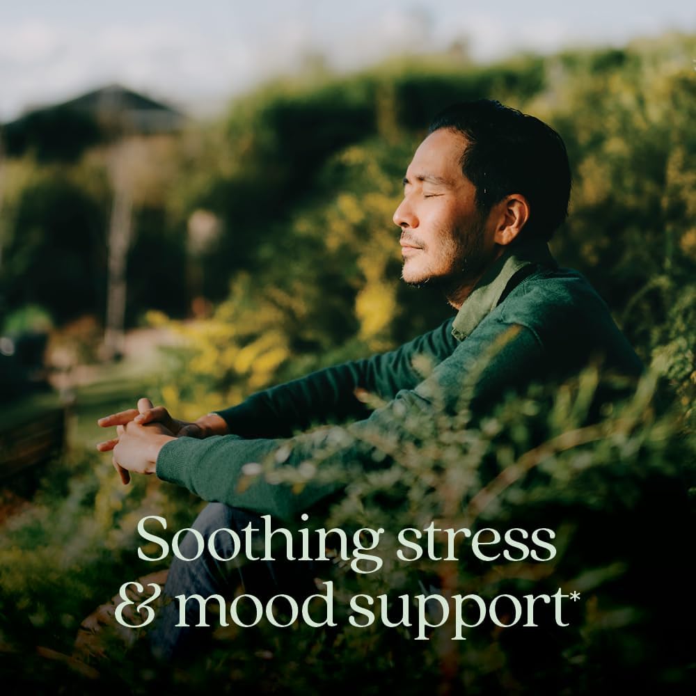 New Chapter Perfect Calm - Stress & Mood Support Multivitamin with B Vitamins - 144 Count