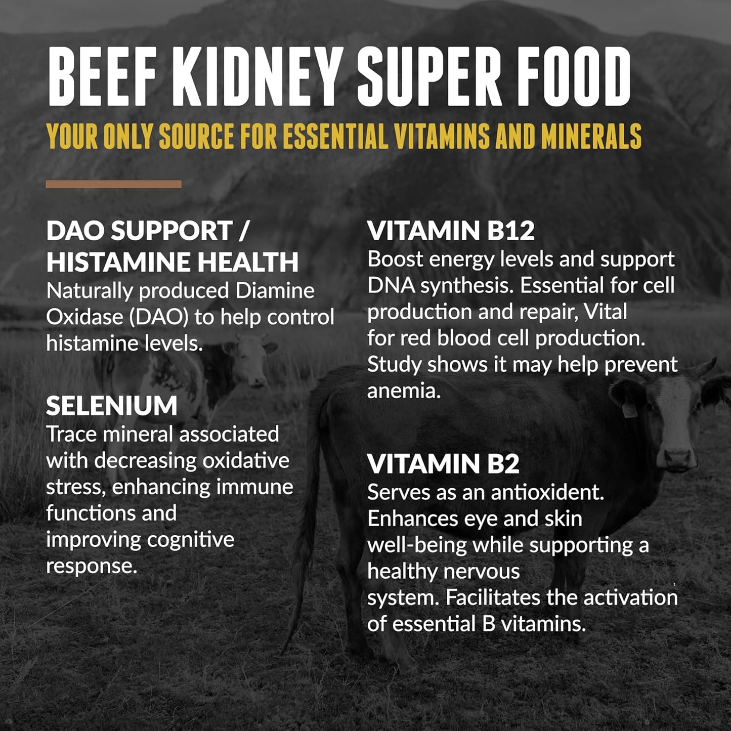 New Zealand Sourced Grass Fed Beef Kidney Supplement (200 Count) for Kidney and DAO Health Support by One Earth Health