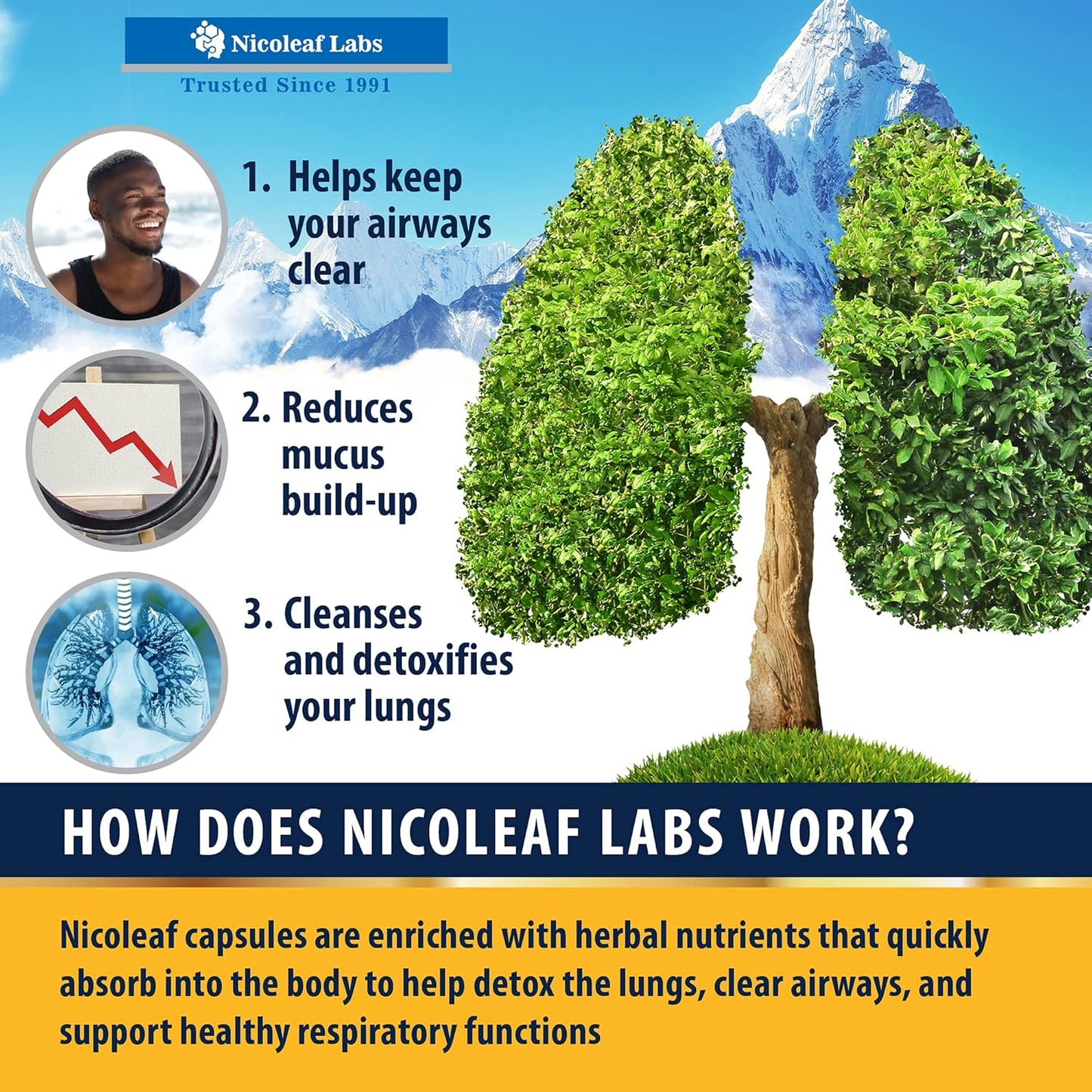 NICOLEAF LABS Smoker's Cleanse - USA-Made Quit Smoking Aid & Lung Detox Supplement - All-Natural Respiratory Support for Smokers - Vegan-Friendly, 60 Capsules