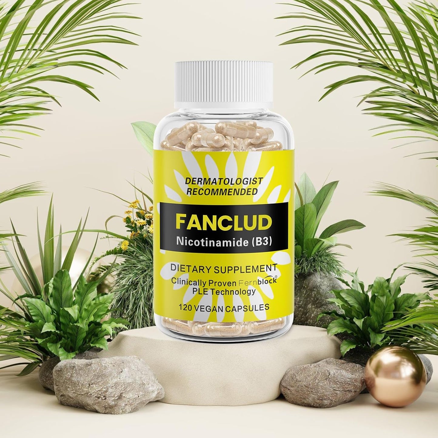 Nicotinamide B3 Supplement 500 mg - 120 Capsules for Overall Health and Wellness