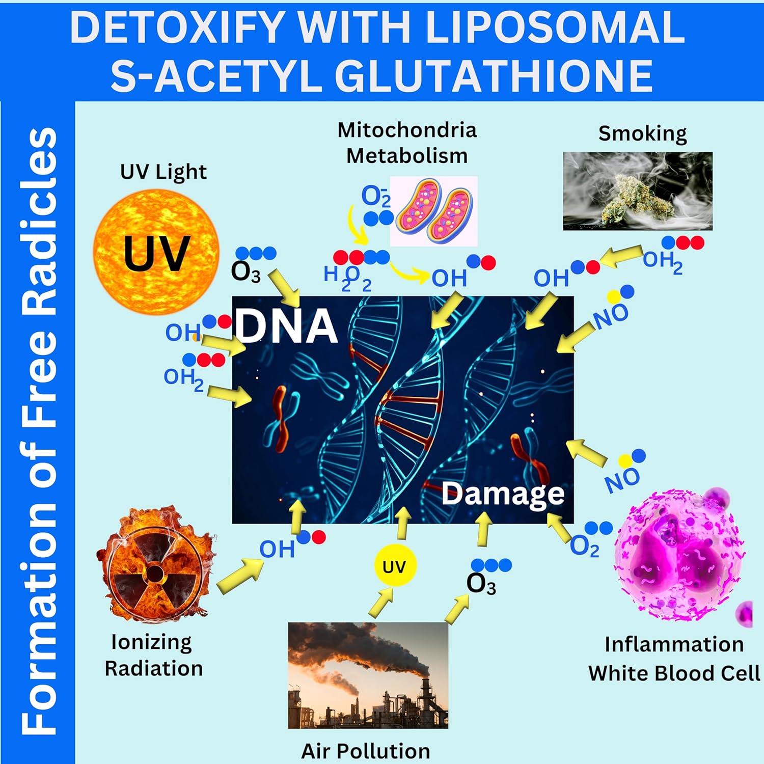 Nikoni Liposomal S-Acetyl L-Glutathione Resveratrol Softgels with Hyaluronic Acid and Collagen - 120 Capsules