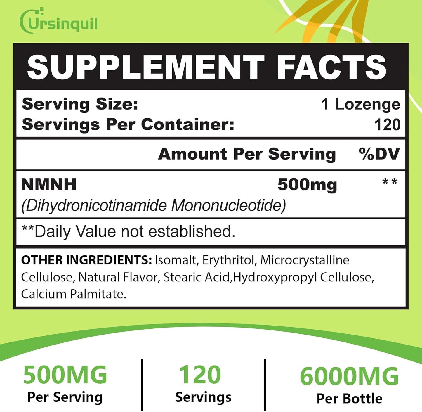 NMNH 500mg Sublingual NAD Supplement for Anti-Aging, Energy, Immunity - 240 Servings