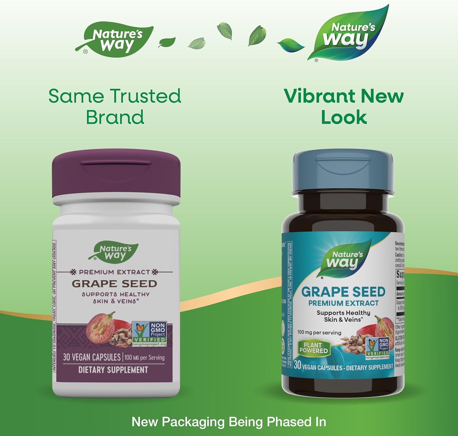 Non-GMO Grape Seed Premium Extract Capsules for Skin and Vein Health, Antioxidant Support, 30 Vegan Capsules