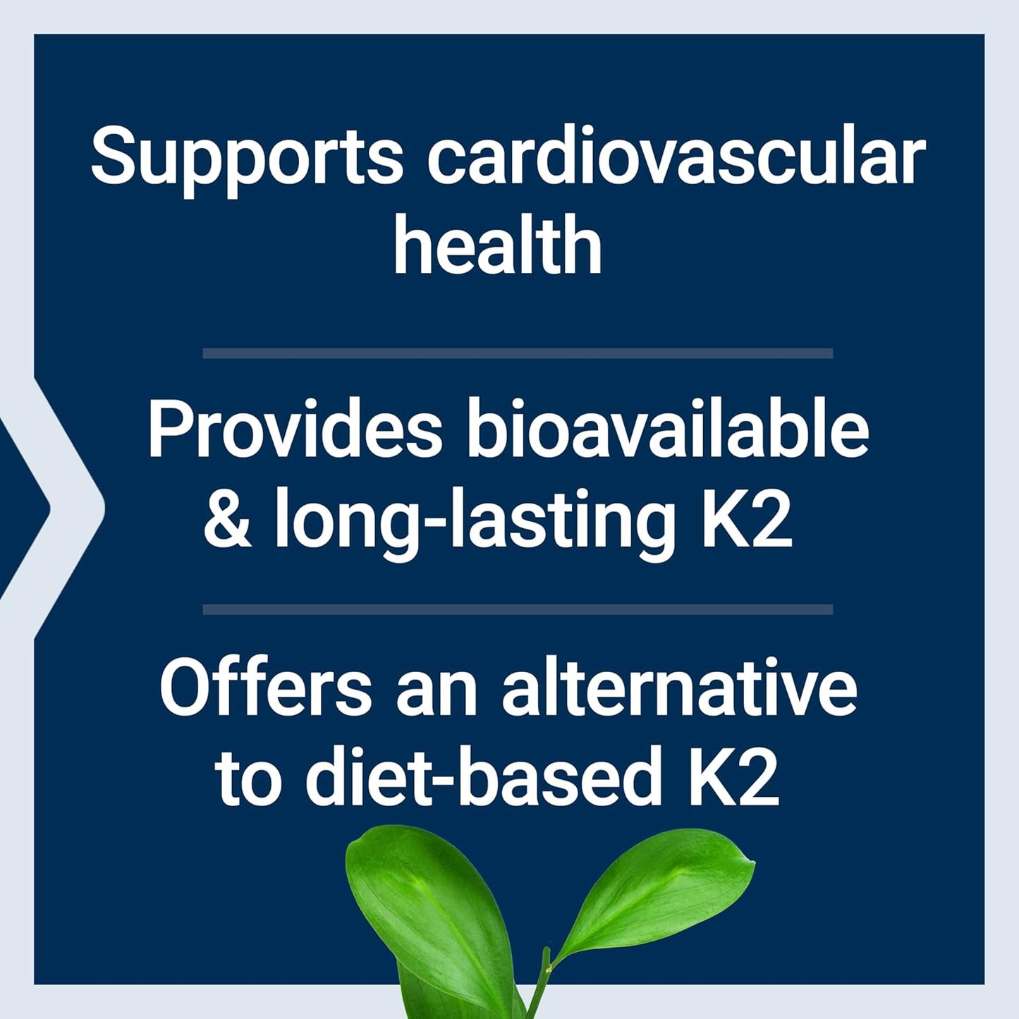 Non-GMO Low Dose Vitamin K2 Softgels for Arterial Health - 90 Gluten-Free Capsules by Life Extension
