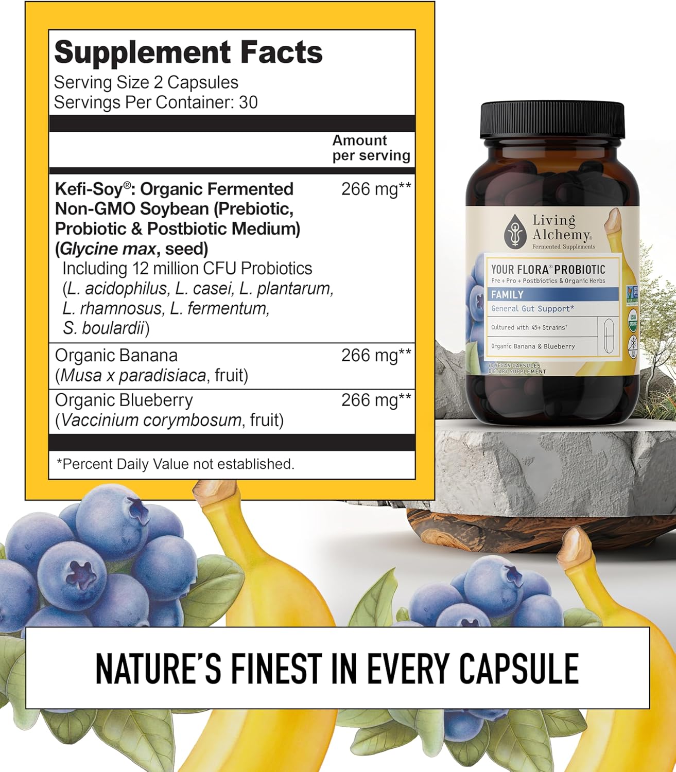 Non-GMO Probiotic Family with Fermented Soybean, Banana, & Blueberry - Digestion & Gut Support - Prebiotics, Postbiotics, Digestive Enzymes - 60 Capsules