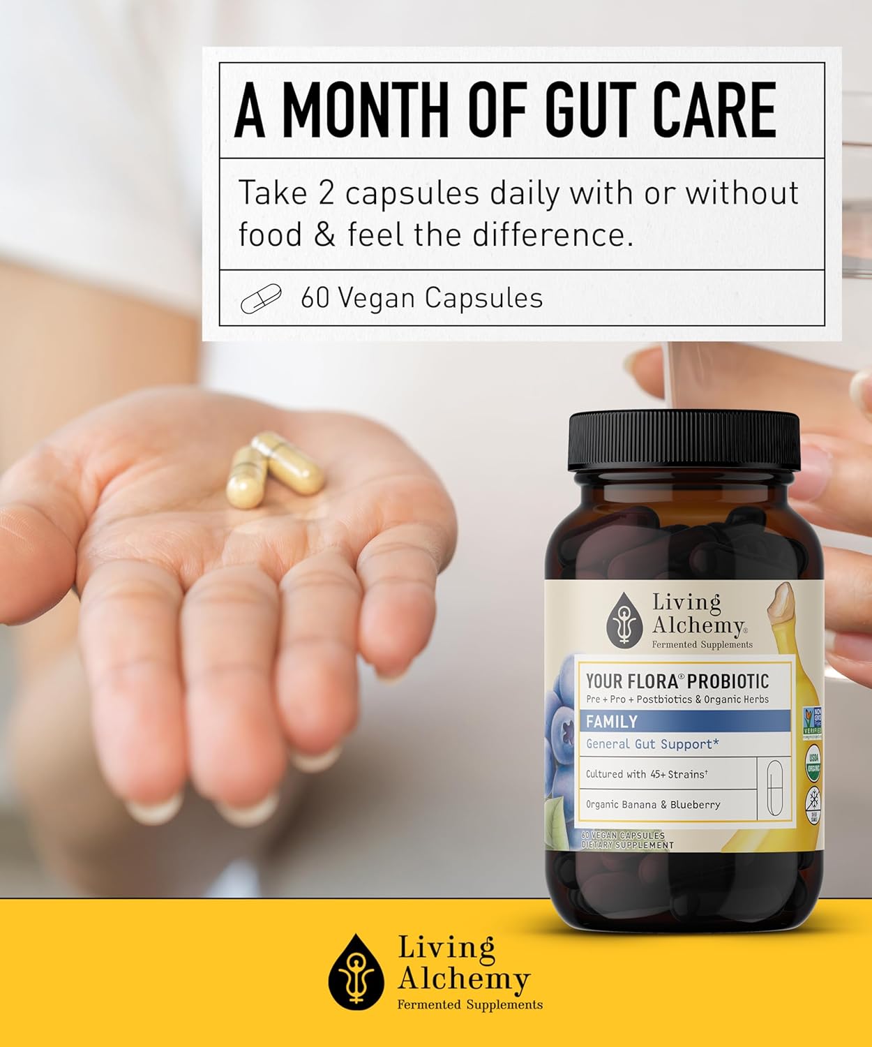 Non-GMO Probiotic Family with Fermented Soybean, Banana, & Blueberry - Digestion & Gut Support - Prebiotics, Postbiotics, Digestive Enzymes - 60 Capsules