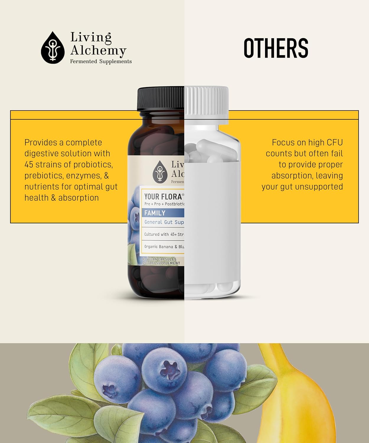 Non-GMO Probiotic Family with Fermented Soybean, Banana, & Blueberry - Digestion & Gut Support - Prebiotics, Postbiotics, Digestive Enzymes - 60 Capsules