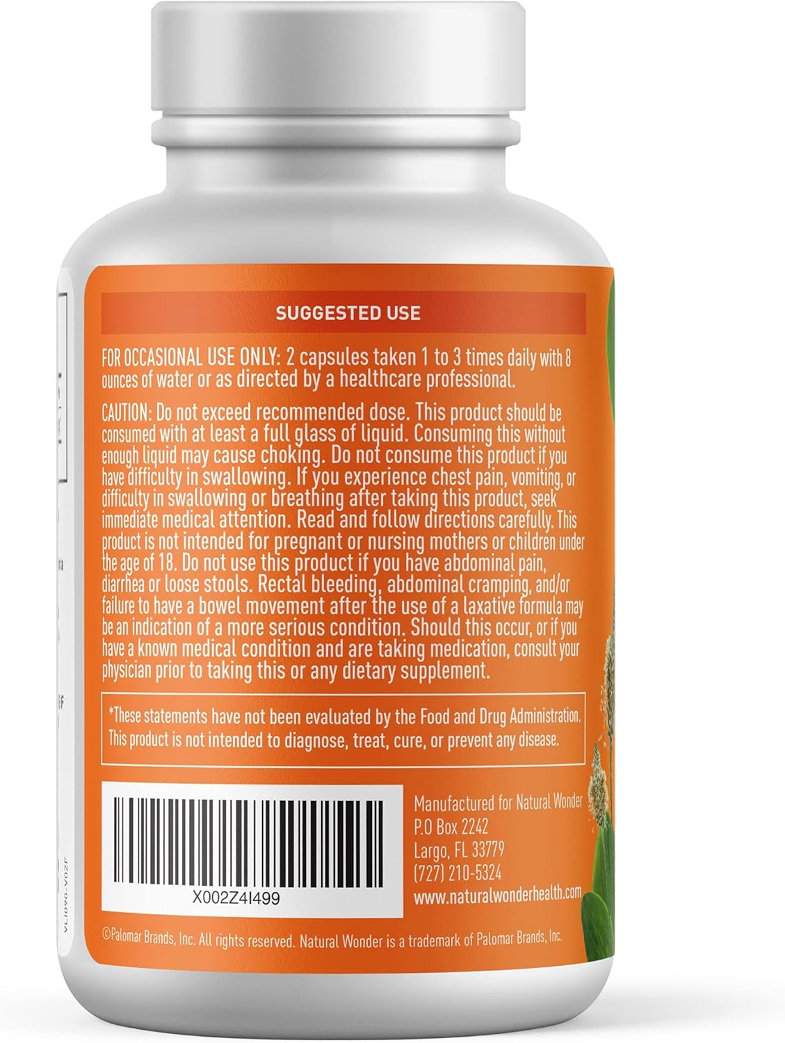 Non-GMO Psyllium Husk Fiber Capsules for Colon Cleanse & Digestive Health - 240 Capsules, 725mg - Prebiotic & Heart Health Supplement