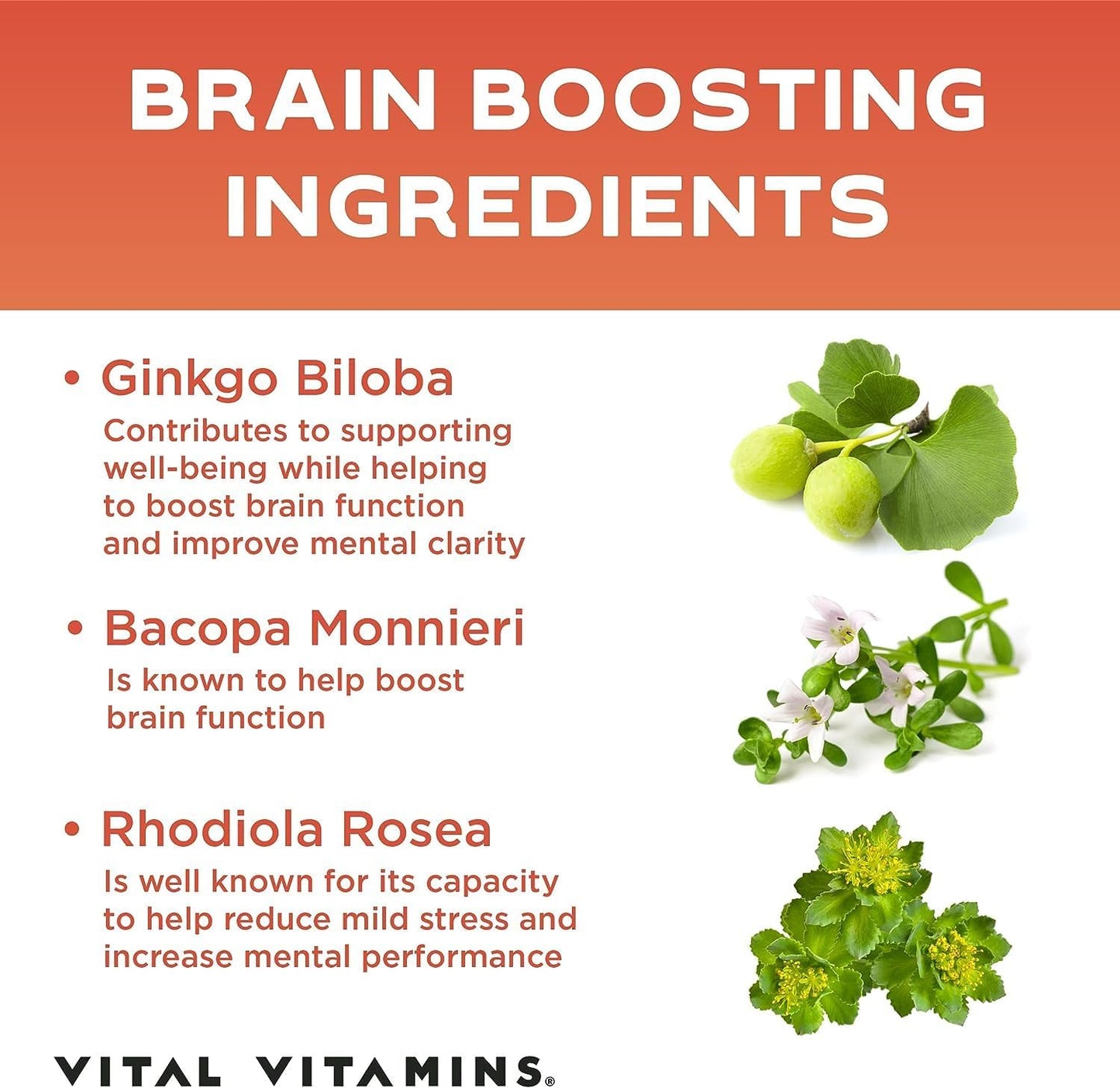 Nootropic Brain Supplement with Ginkgo Biloba & Rhodiola Extract - Boost Memory, Focus, Clarity, Energy - 30 Capsules
