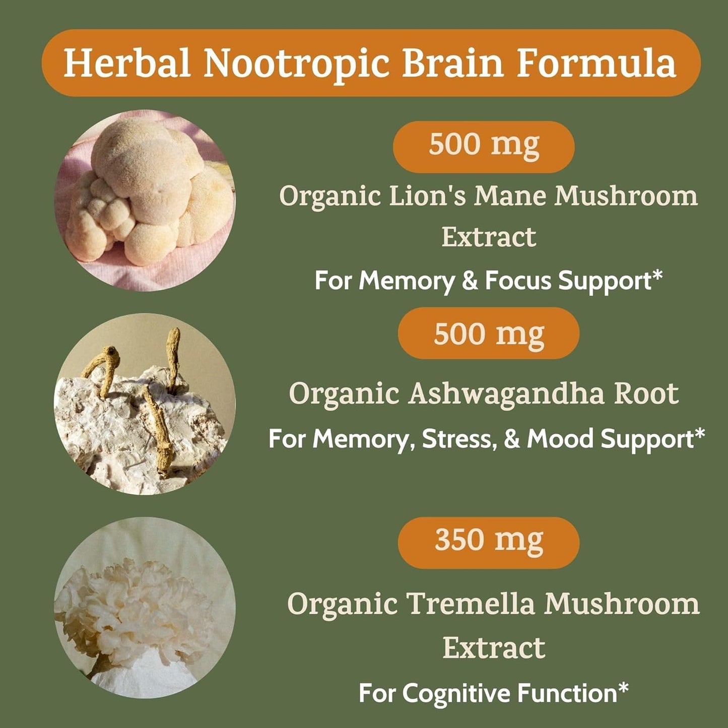 Nootropic Brain Support Supplement with Lion's Mane & Ashwagandha - 1450mg, 90 Ct Capsules for Memory, Focus, Energy - Cognitive Formula for Adults & Seniors