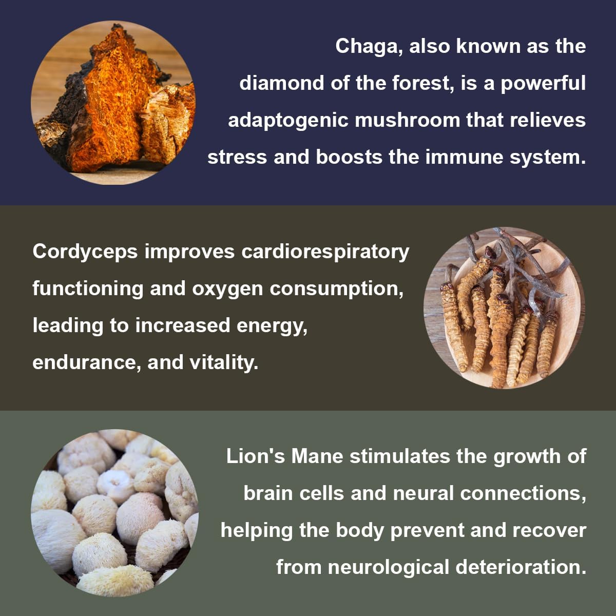 Nootropic Mushroom Gummies with Cordyceps, Reishi, Chaga, Lion's Mane, and More - 10 Mushroom Supplement