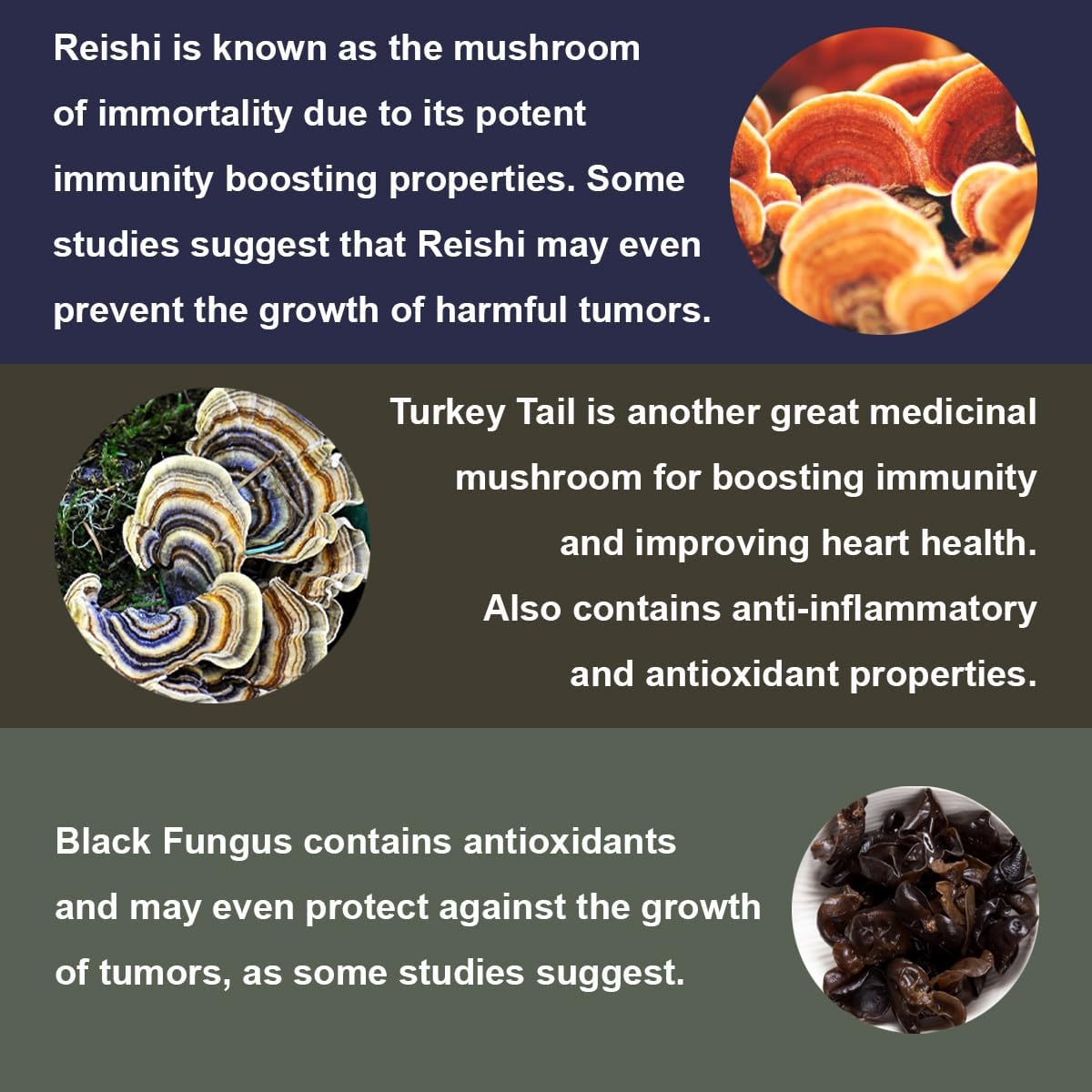 Nootropic Mushroom Gummies with Cordyceps, Reishi, Chaga, Lion's Mane, and More - 10 Mushroom Supplement