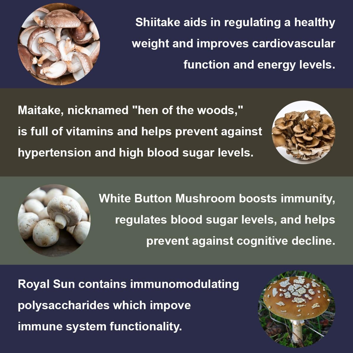 Nootropic Mushroom Gummies with Cordyceps, Reishi, Chaga, Lion's Mane, and More - 10 Mushroom Supplement
