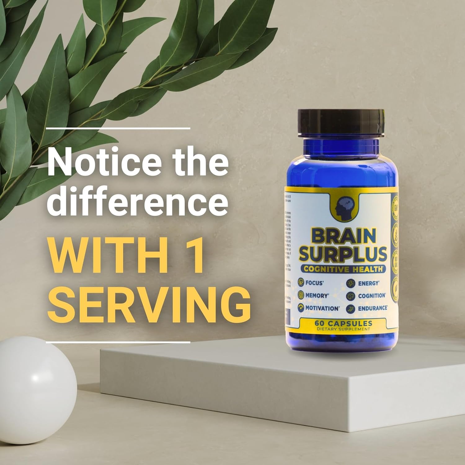 Nootropic Supplement for Memory, Focus, Energy with Lions Mane, Ginkgo Biloba, Alpha GPC, Vitamin B12 - Non GMO, Vegan, Gluten Free