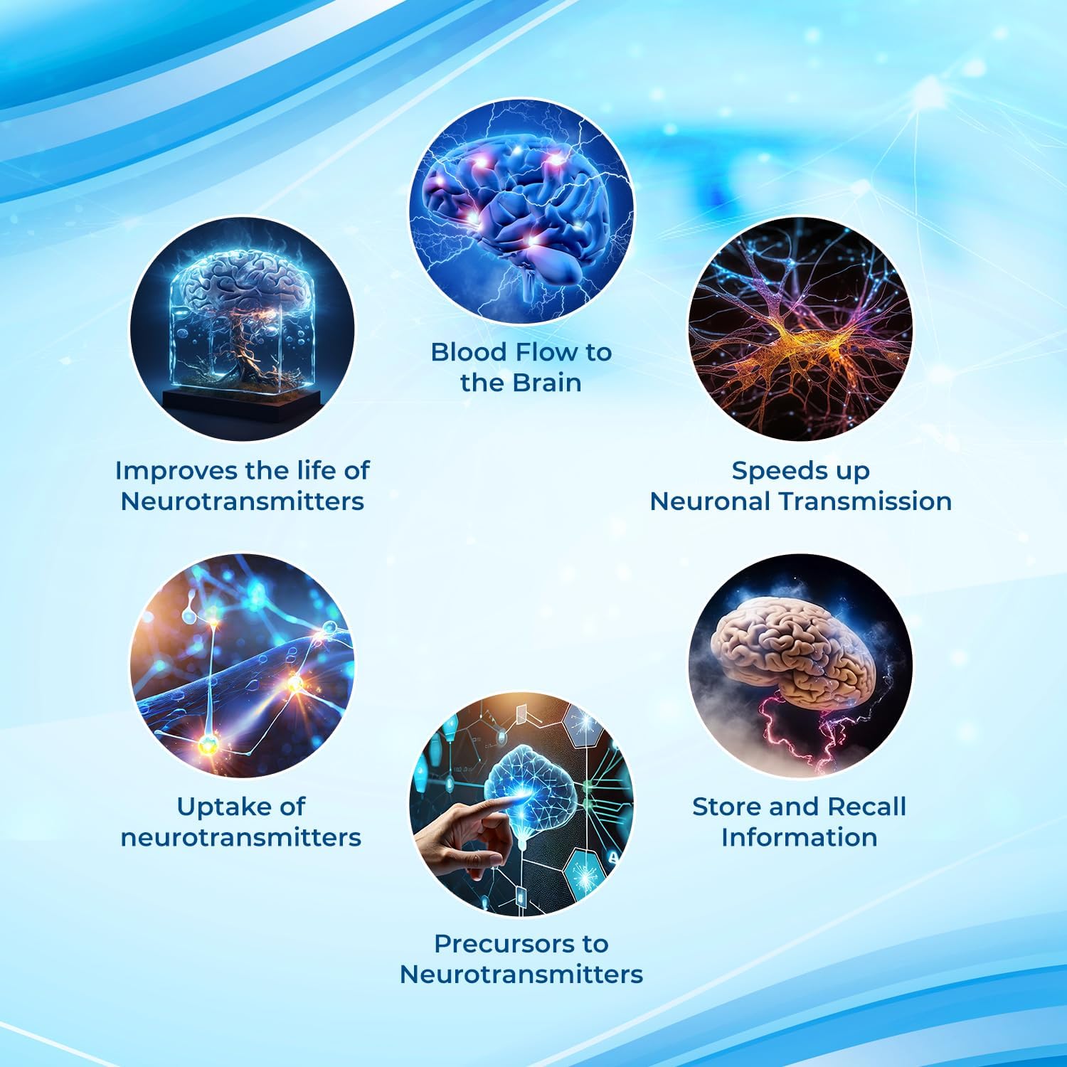 Nootropic Supplement for Men & Women - Enhances Concentration, Memory, and Brain Function with Vitamins, Choline, Ginseng, Gingko & More - 40 Count