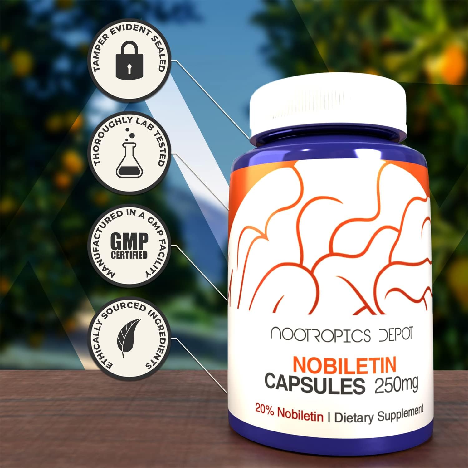 Nootropics Depot Nobiletin Capsules 250mg - 30 Count - 20% Extract - Citrus Aurantium - Cognitive & Metabolic Support - Cardiovascular Function