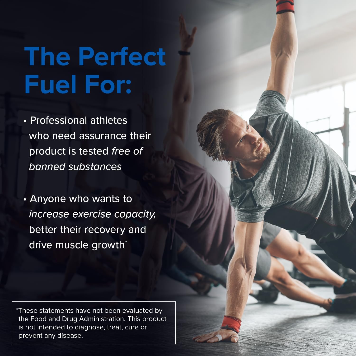 NSF Certified Sport Creatine Monohydrate Powder for Muscle Recovery and Strength - 1 lb / 90 Servings