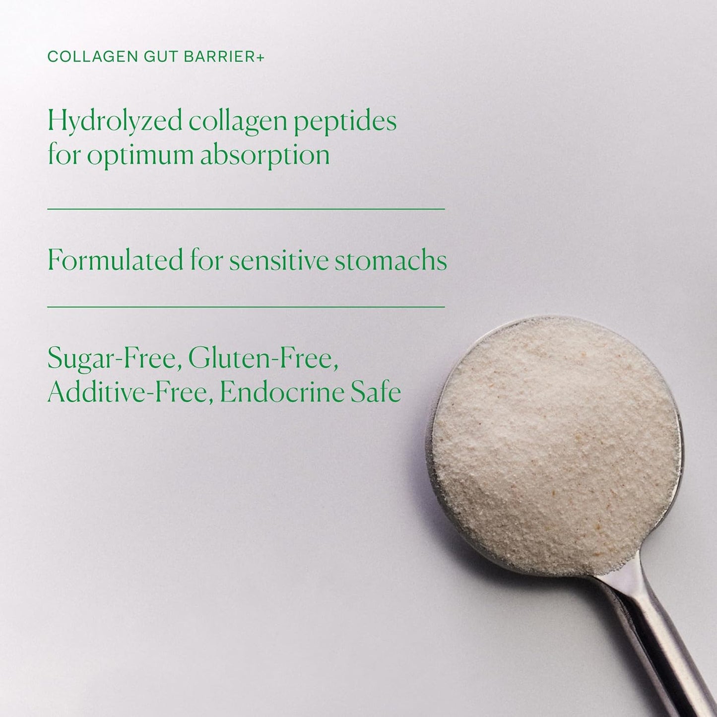 Nue Co. Collagen Gut Barrier+ Supplement with Hyaluronic Acid & Prebiotic for Skin Health - 200g