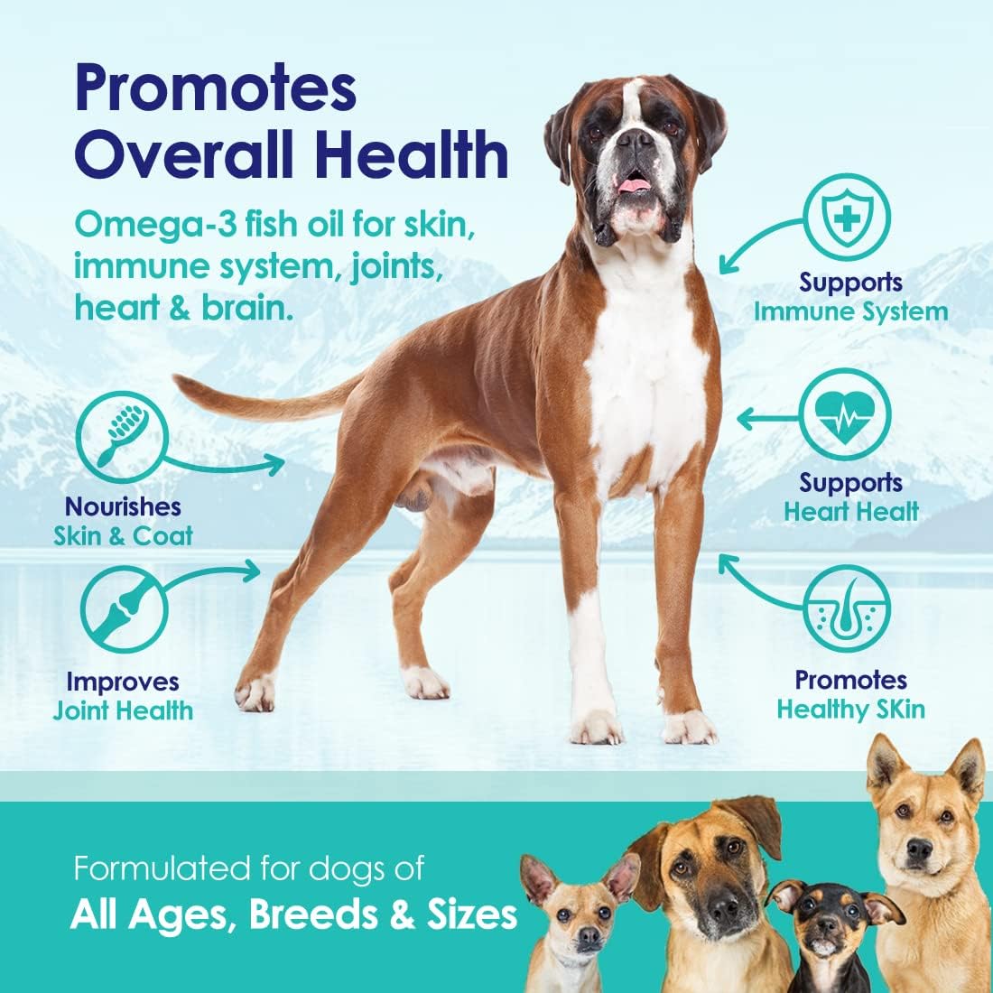 NuLife Natural Liquid Fish Oil for Dogs - Omega 3, 6 & 9 Fatty Acids from Iceland - Skin & Coat Supplement - 12oz