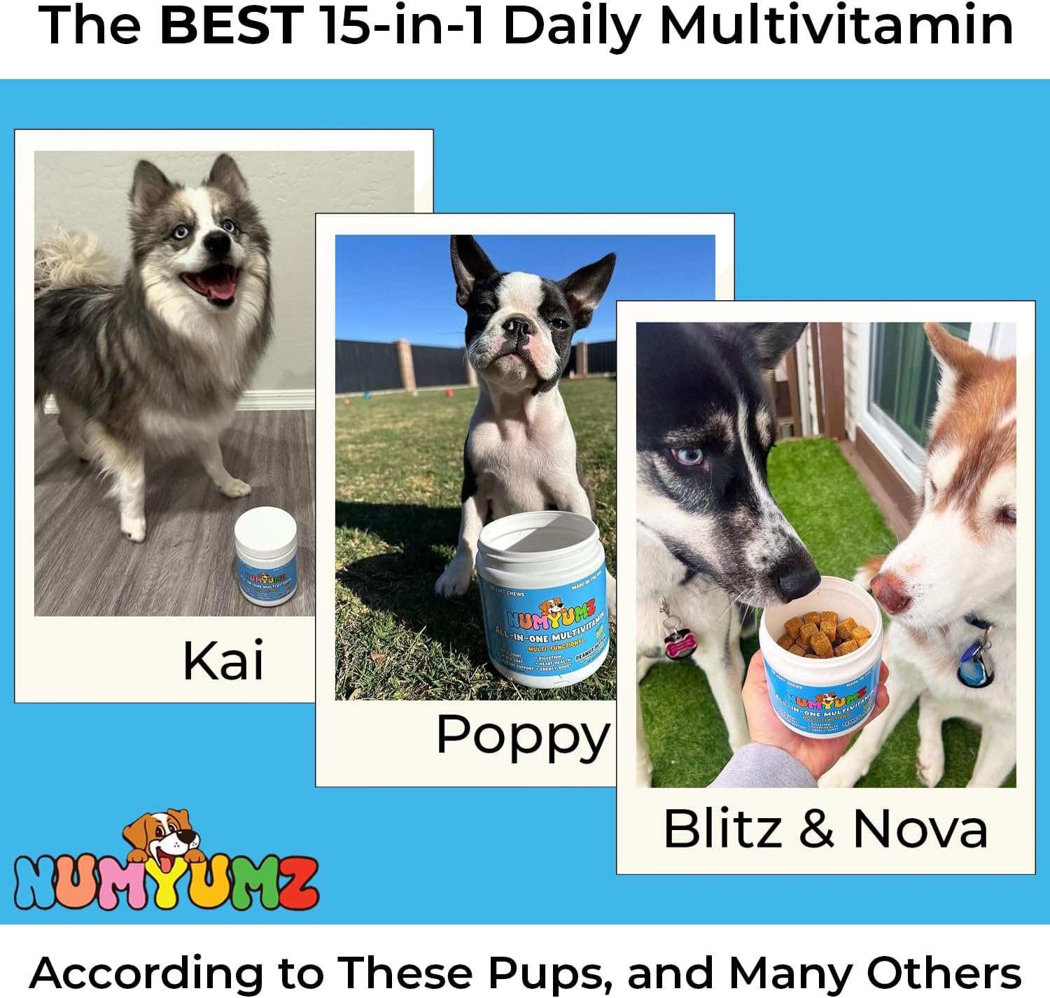 Numyumz Natural 15-in-1 Daily Multivitamin Chew Supplement for Dogs - Joint & Immune Support, Omega-3, Healthy Coat, Skin, Bones - 90 Soft Chews