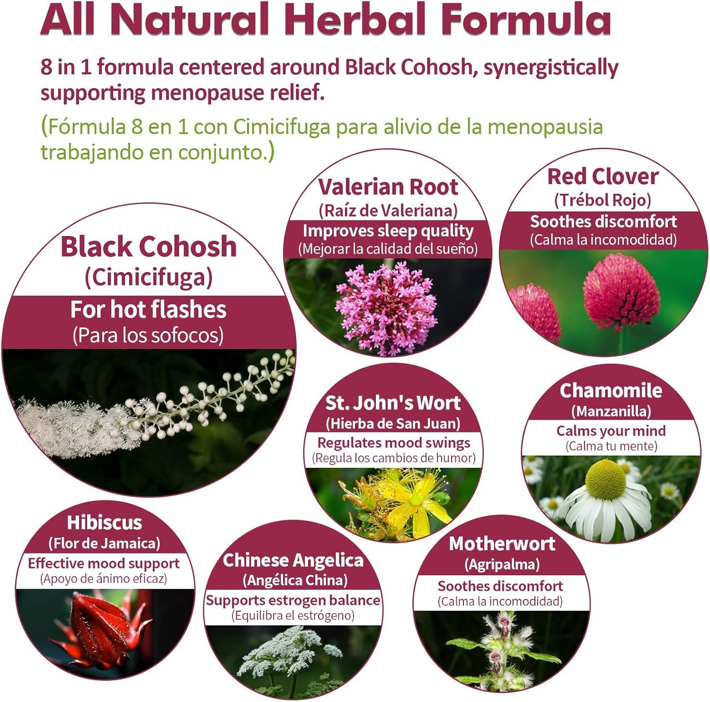 Nurbetoxa Black Cohosh Menopause Support Drops for Women, Natural Hormone Estrogens, 60-Day Strength | Hair, Skin & Nails Health, 4Fl Oz