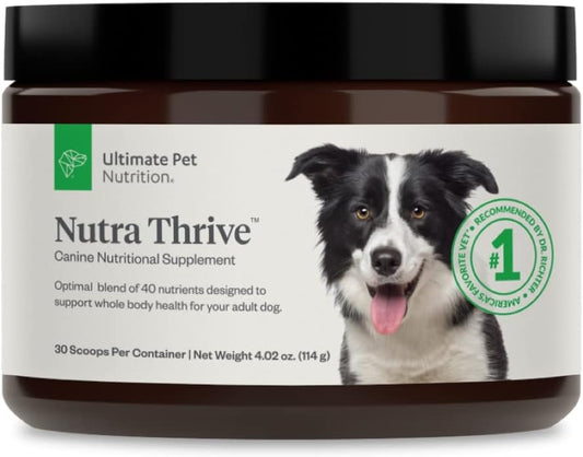 Nutra Thrive™ Canine 40 in 1 Nutritional Supplement for Dogs - Powder Supplement for Digestion, Immune Support - Vitamins, Minerals, Probiotics, Enzymes - 30 Servings