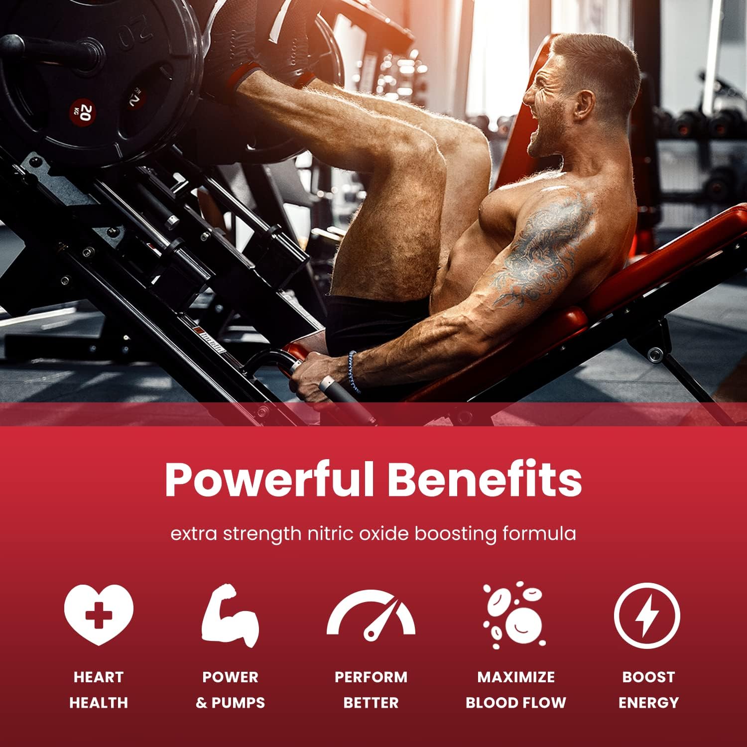 NutraChamps Berberine and Nitric Oxide Booster for Metabolic and Circulatory Support