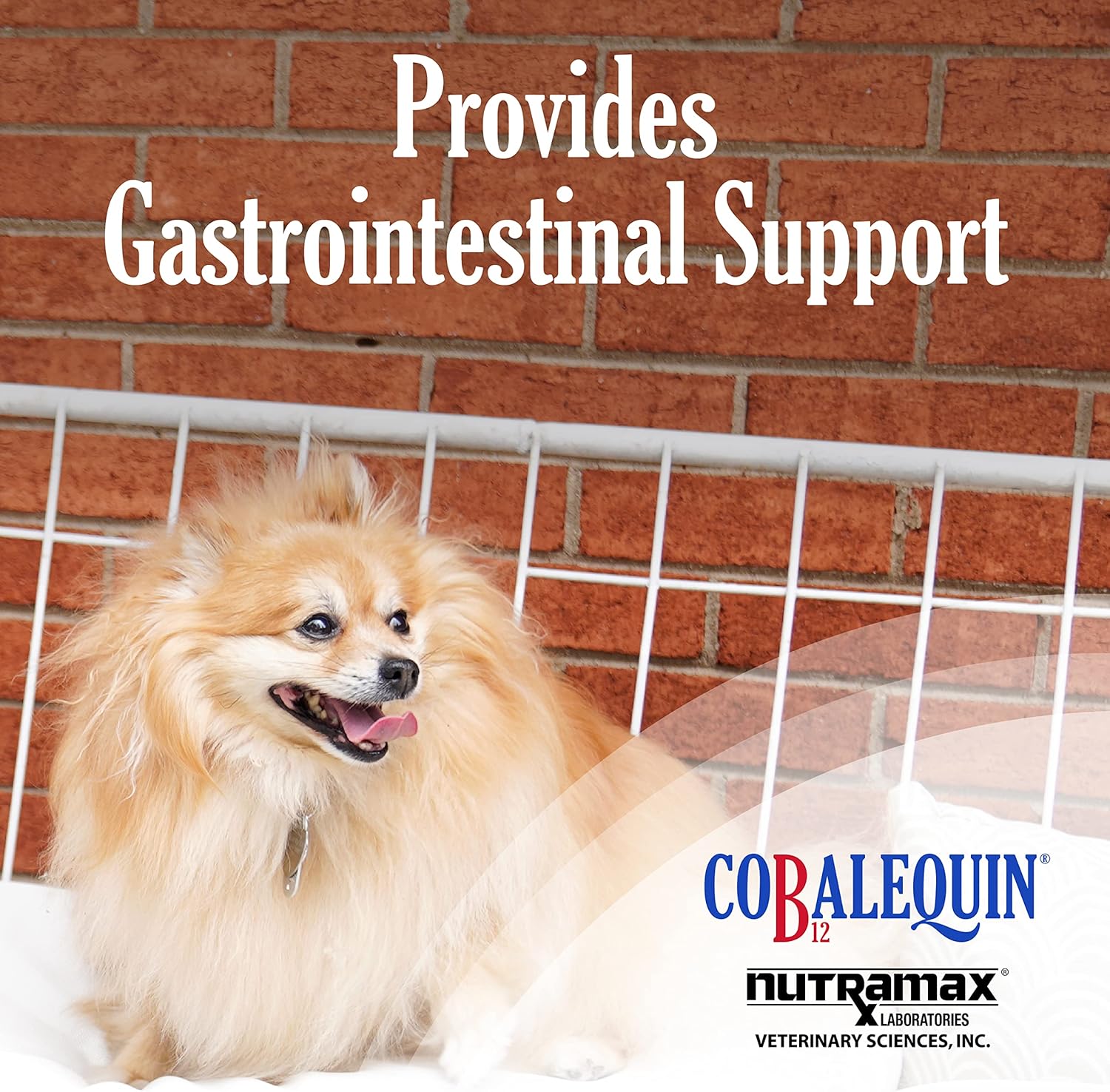 Nutramax Cobalequin B12 Supplement for Cats and Small Dogs - 45 Count Pack