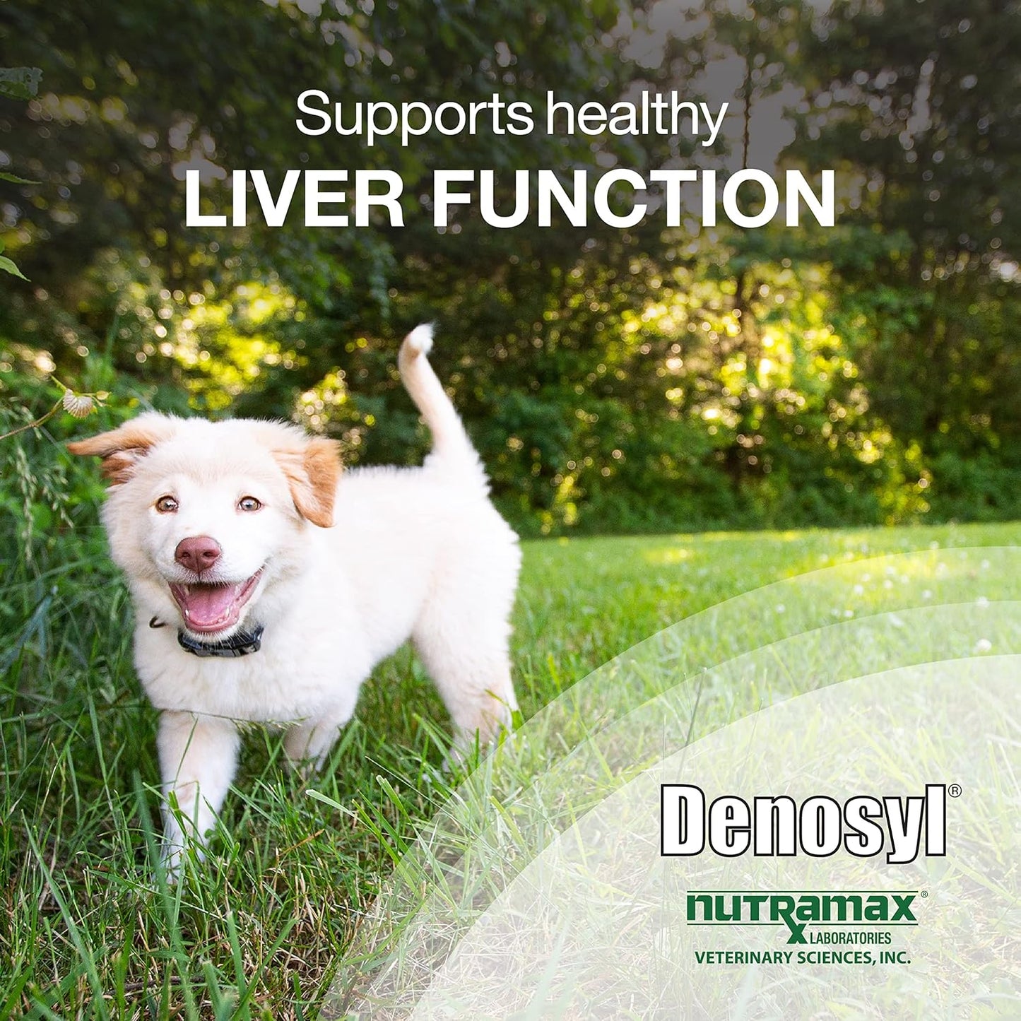 Nutramax Denosyl Liver and Brain Health Supplement for Medium Dogs - 30 Tablets, SAMe Formula