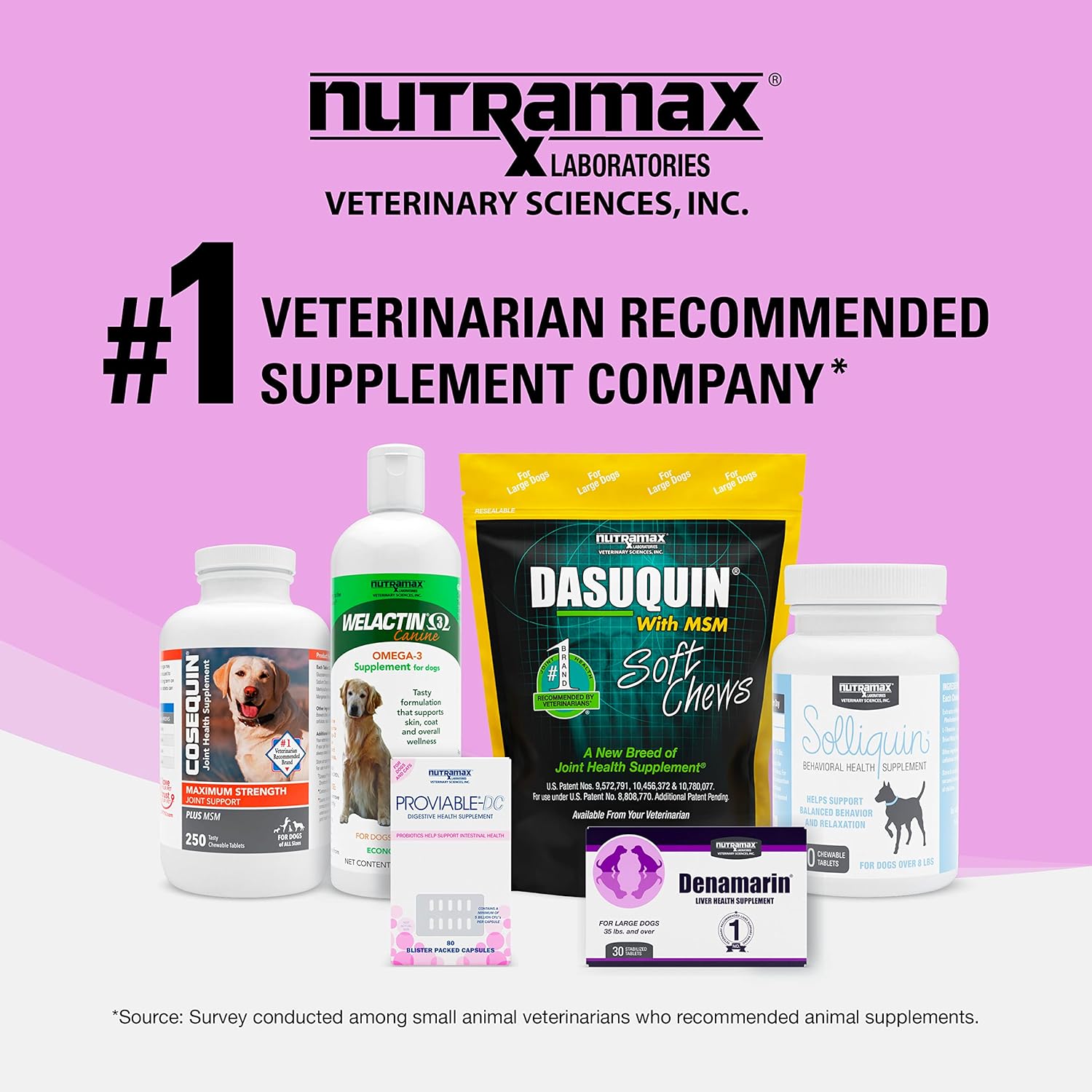 Nutramax Denosyl Liver and Brain Health Supplement for Small Dogs and Cats, 30 Tablets