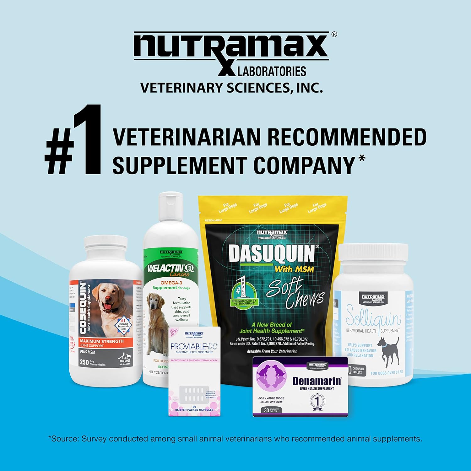 Nutramax Denosyl Liver and Brain Health Supplement for Medium Dogs - 30 Tablets, SAMe Formula