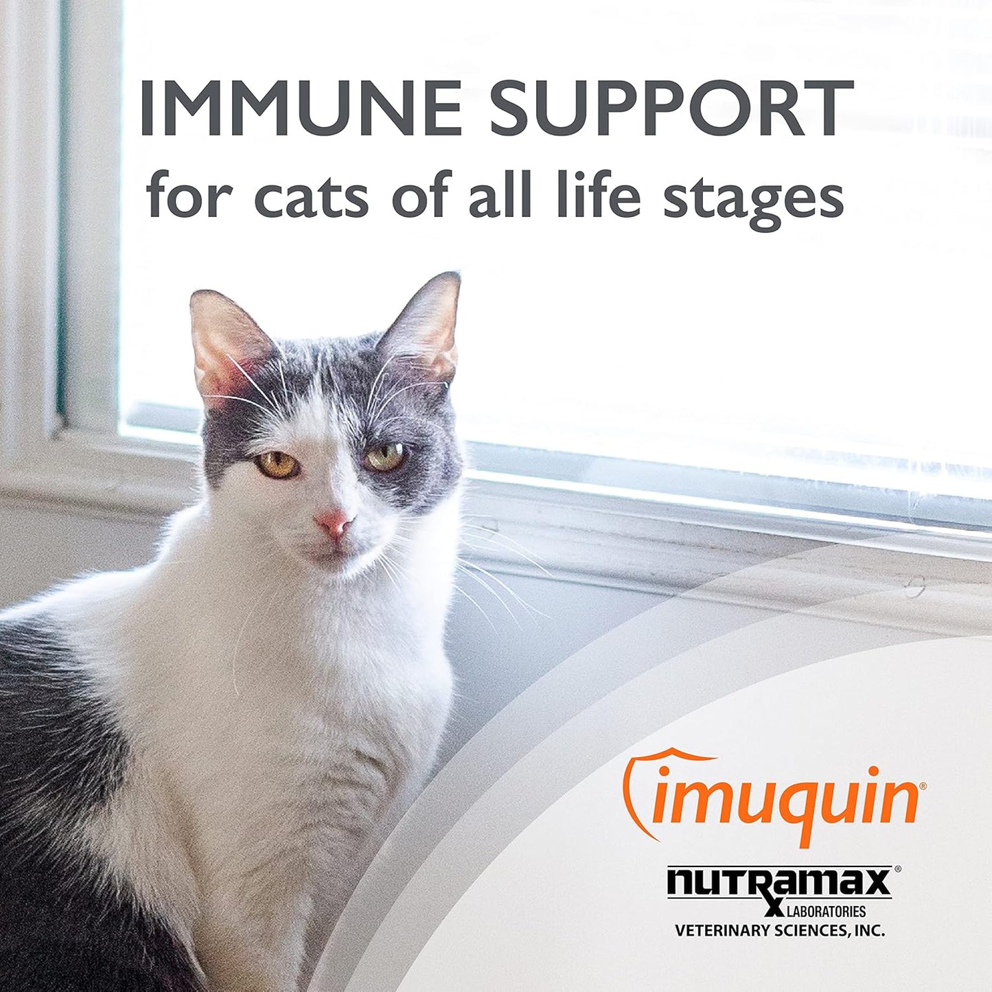 Nutramax Imuquin Immune Health Supplement Powder for Cats - 30 Packets with Beta Glucans, Marine Lipids, Vitamins & Minerals