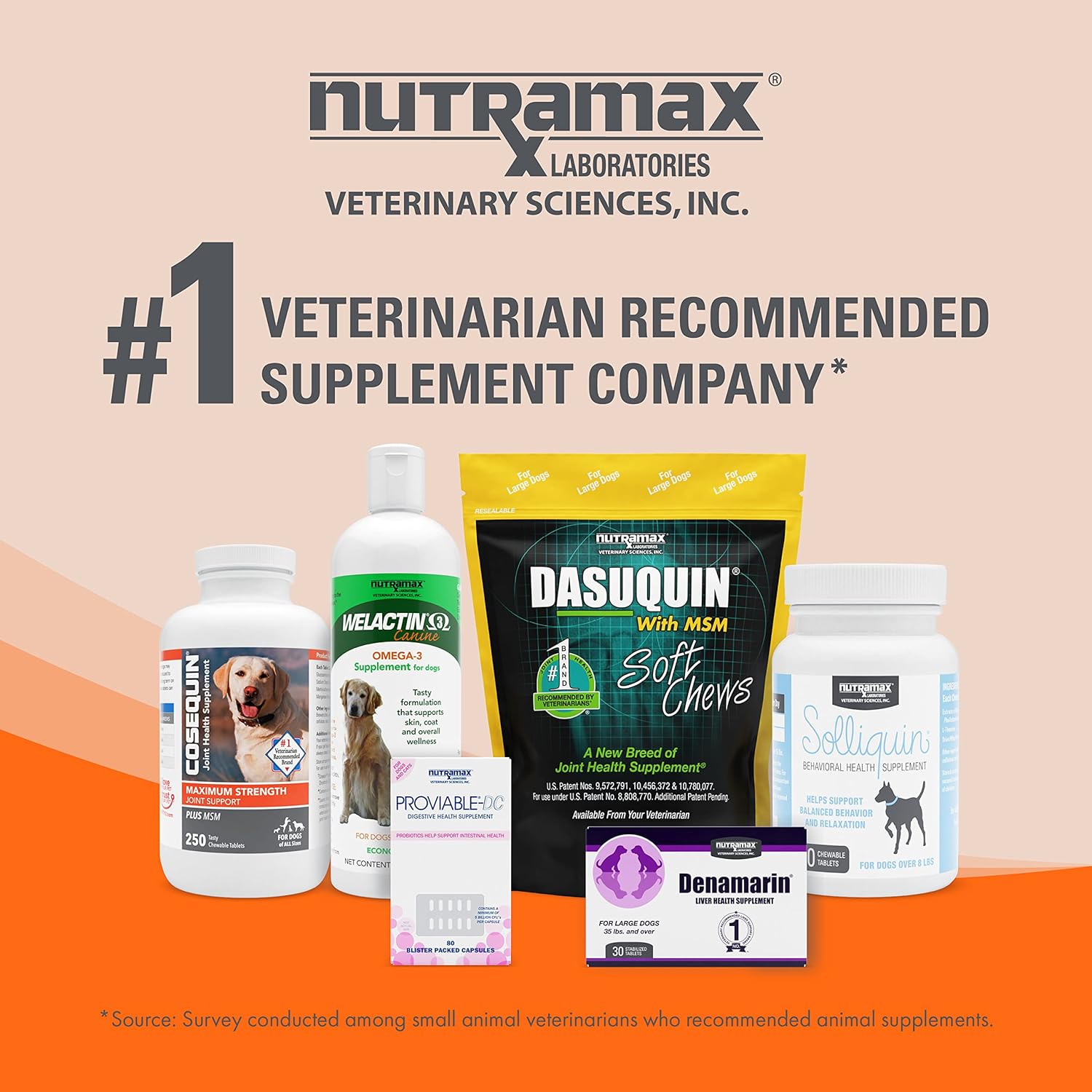 Nutramax Imuquin Immune Support Supplement Powder for Dogs - 30 Packets, Enhanced Formula with Beta Glucans, Marine Lipids, Vitamins, and Minerals