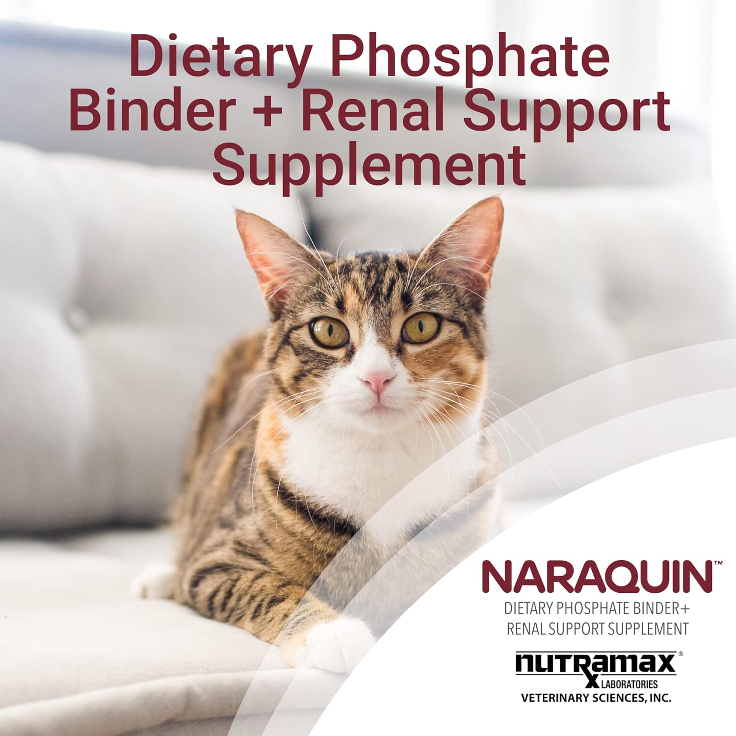 Nutramax Laboratories NARAQUIN™ Phosphate Binder & Renal Support Supplement for Pets, 60 Count