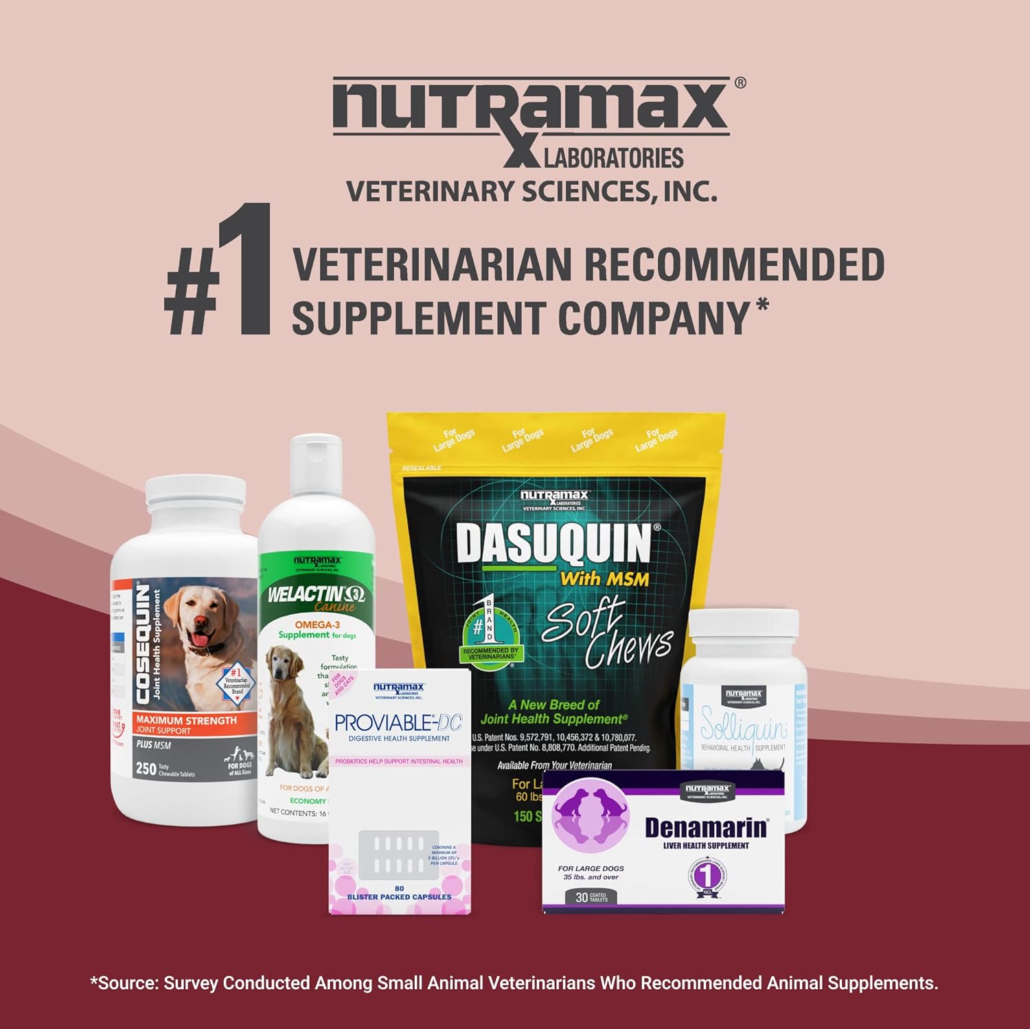 Nutramax Laboratories NARAQUIN™ Phosphate Binder & Renal Support Supplement for Pets, 60 Count