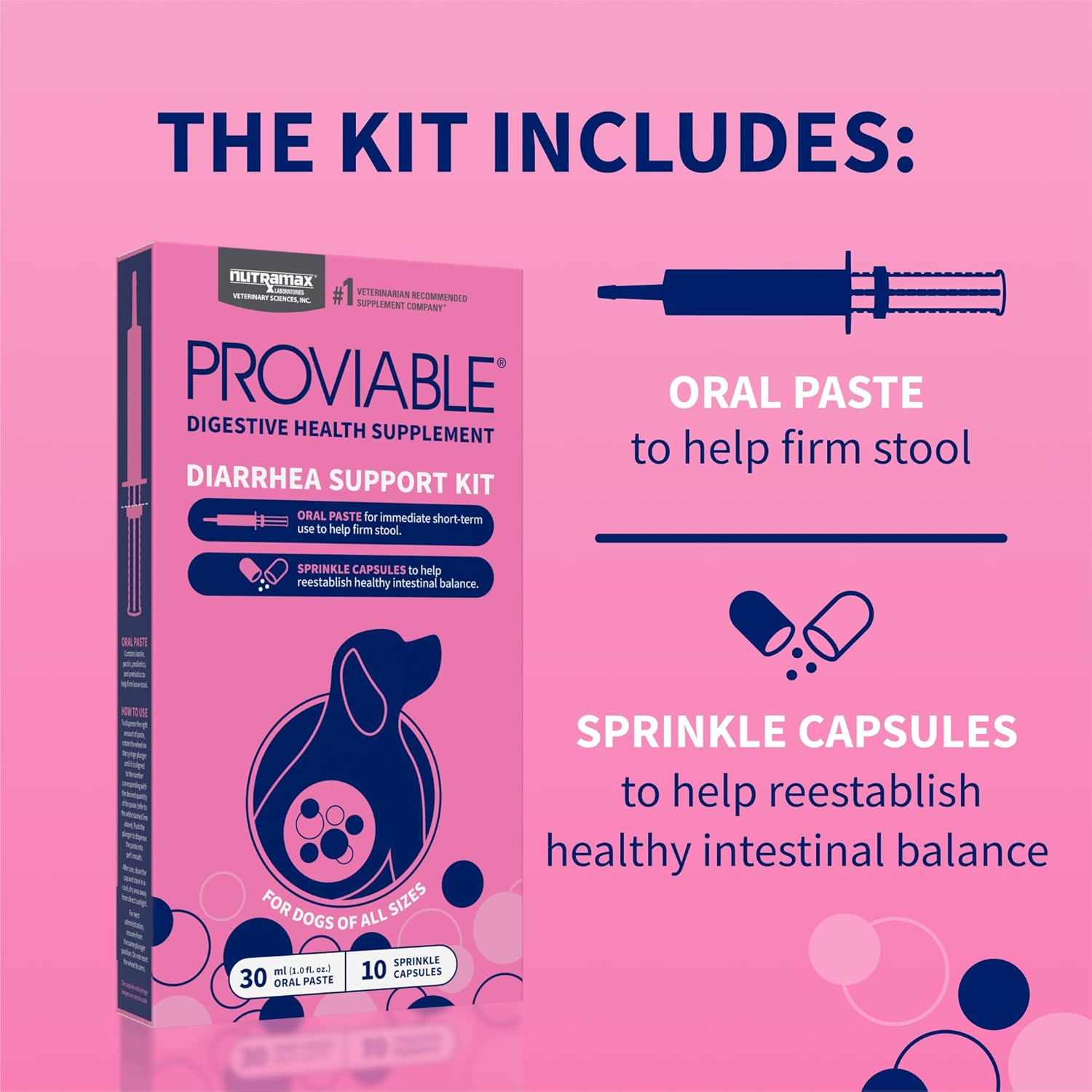 Nutramax Laboratories Proviable Digestive Health Supplement Kit for Medium to Large Dogs - Probiotics and Prebiotics, 7 Strains, 30 mL Paste, 10 Capsules