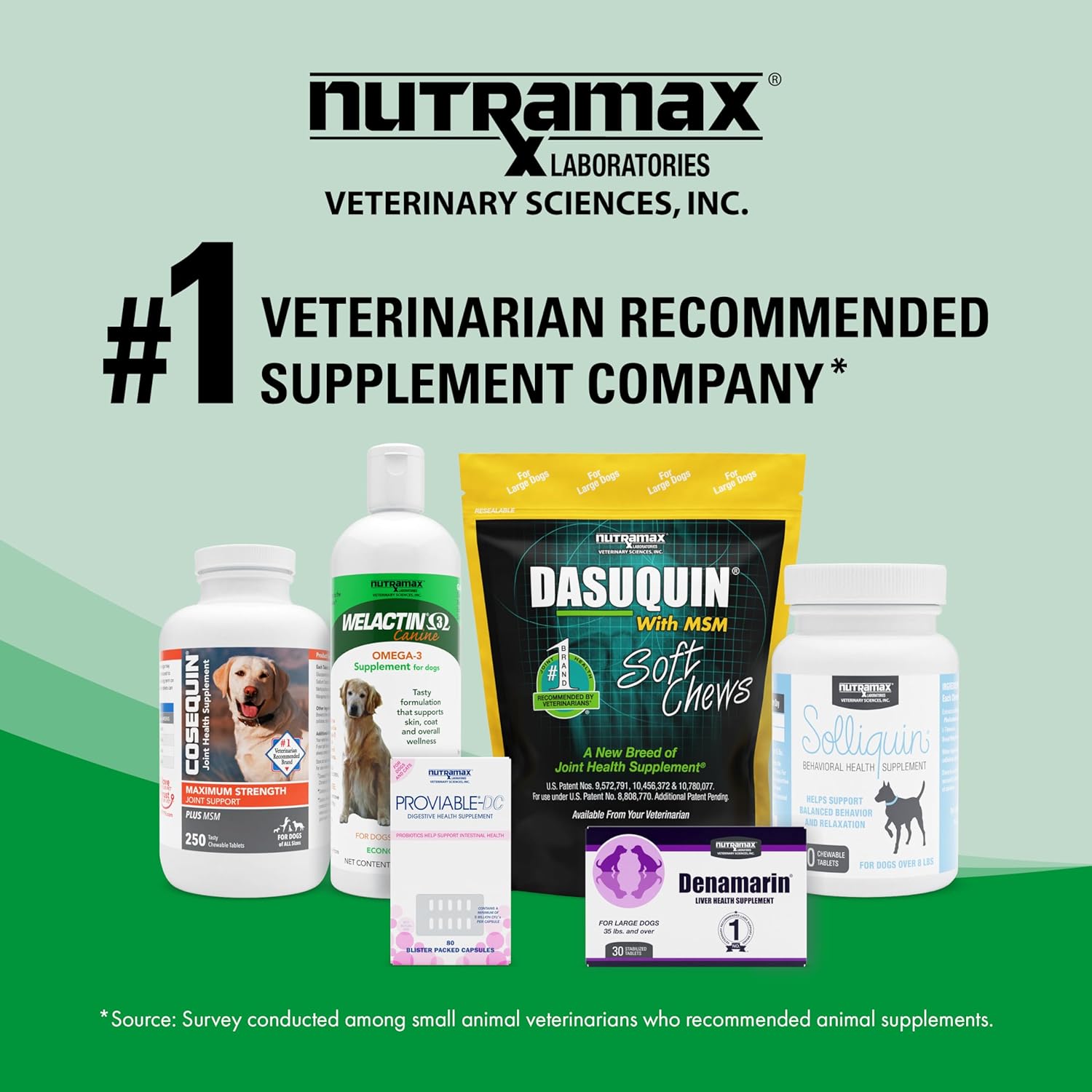 Nutramax Welactin Omega-3 Fish Oil Liquid Supplement for Cats - 4 Ounce, Promotes Healthy Skin and Coat