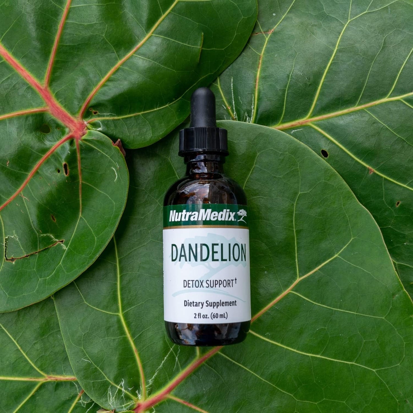 NutraMedix Dandelion Leaf Tincture - Liver, Gut, and Antioxidant Support - Daily Liver Health Supplement (60ml)