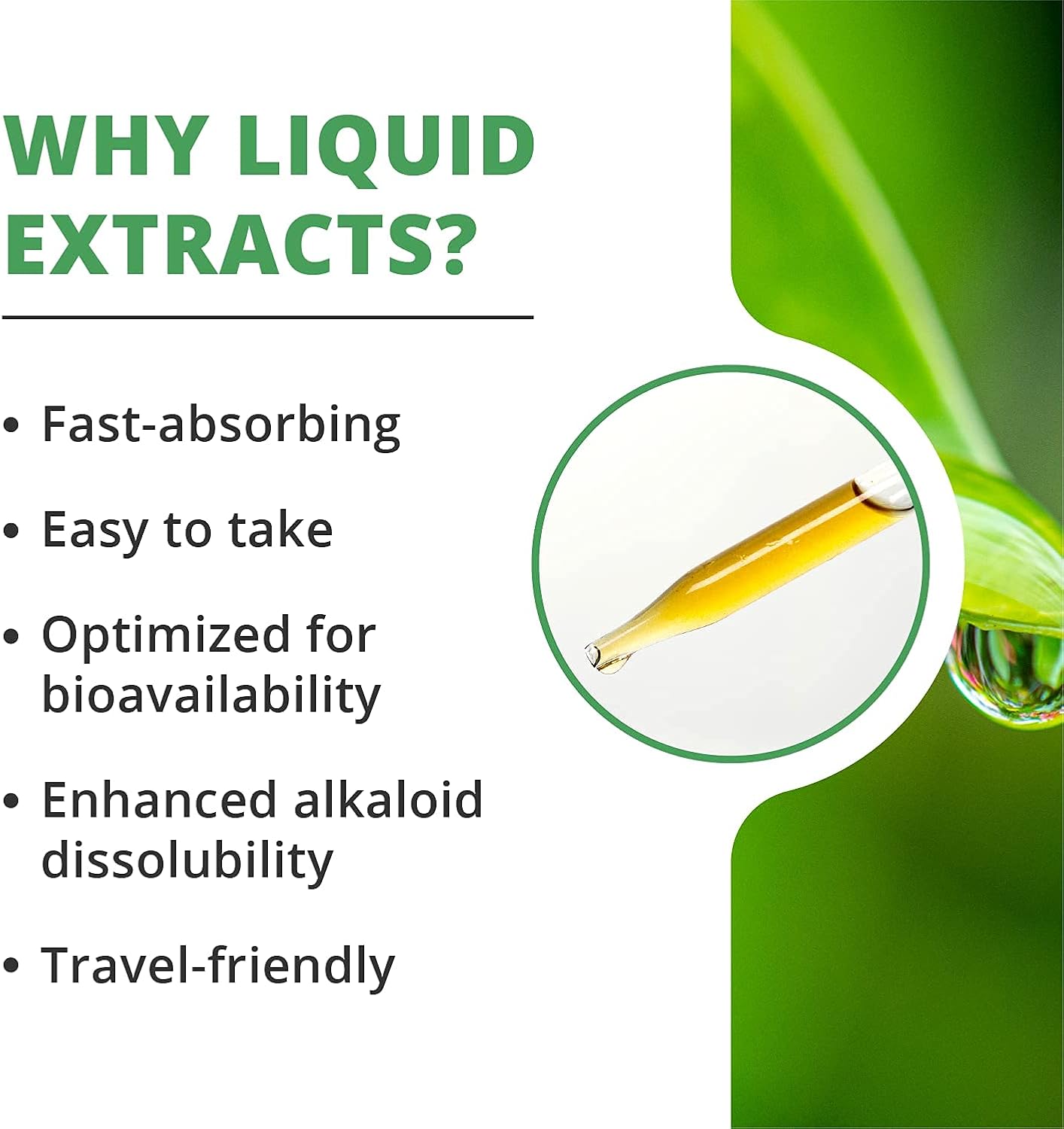 NutraMedix Energy Boost Kit - Astragalus, Rhodiola, Ginseng, Schisandra Extracts, Detox Drops & Magnesium Capsules