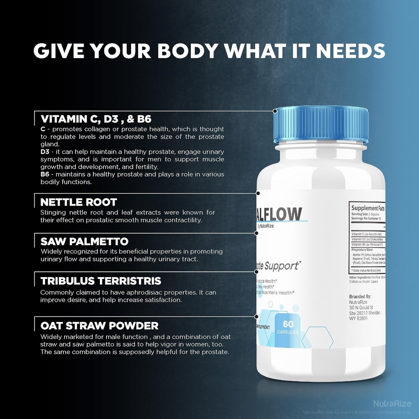 NutraRize VitalFlow Capsules - Advanced Prostate Support Formula for Overall Health (60 Capsules)