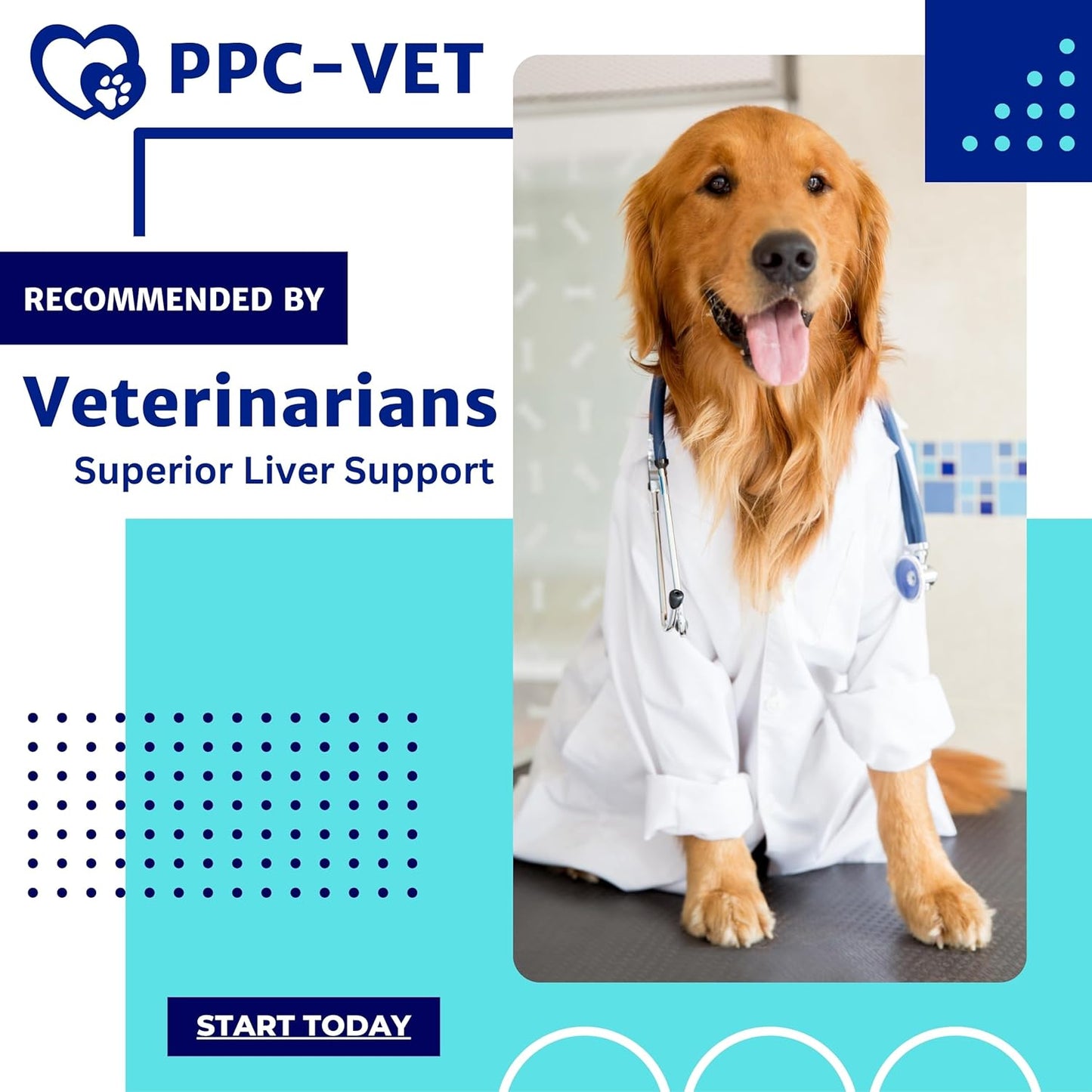 Nutrasal PPC-Vet Polyunsaturated Phosphatidylcholine Liver and Brain Health Supplement for Cats and Dogs - 8 oz Liquid