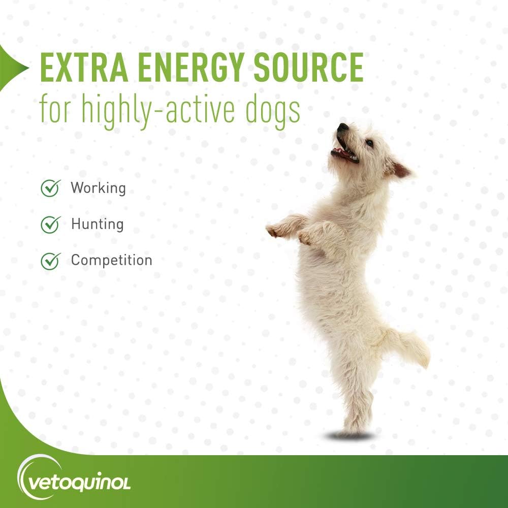Nutri-Cal 4.25 Oz High Calorie Supplement for Cats and Dogs by Vetoquinol
