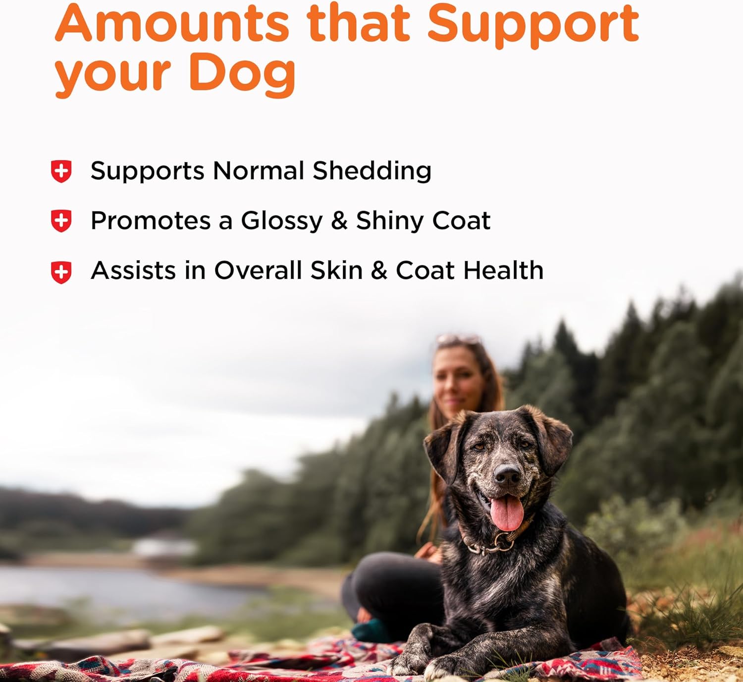 Nutri-Vet Omega-3 Fish Oil Supplements for Dogs - Promotes Healthy Skin & Coat - Supports Dog Shedding & Dandruff Relief - 100 Softgels